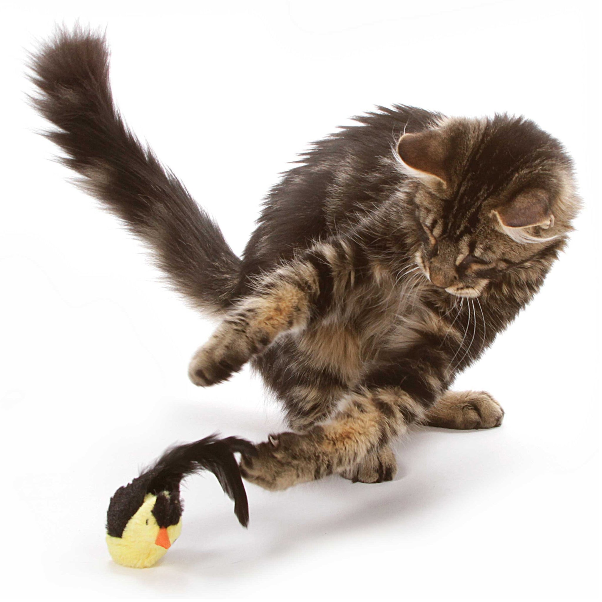 Interactive Cat Toys with Realistic Bird Sounds