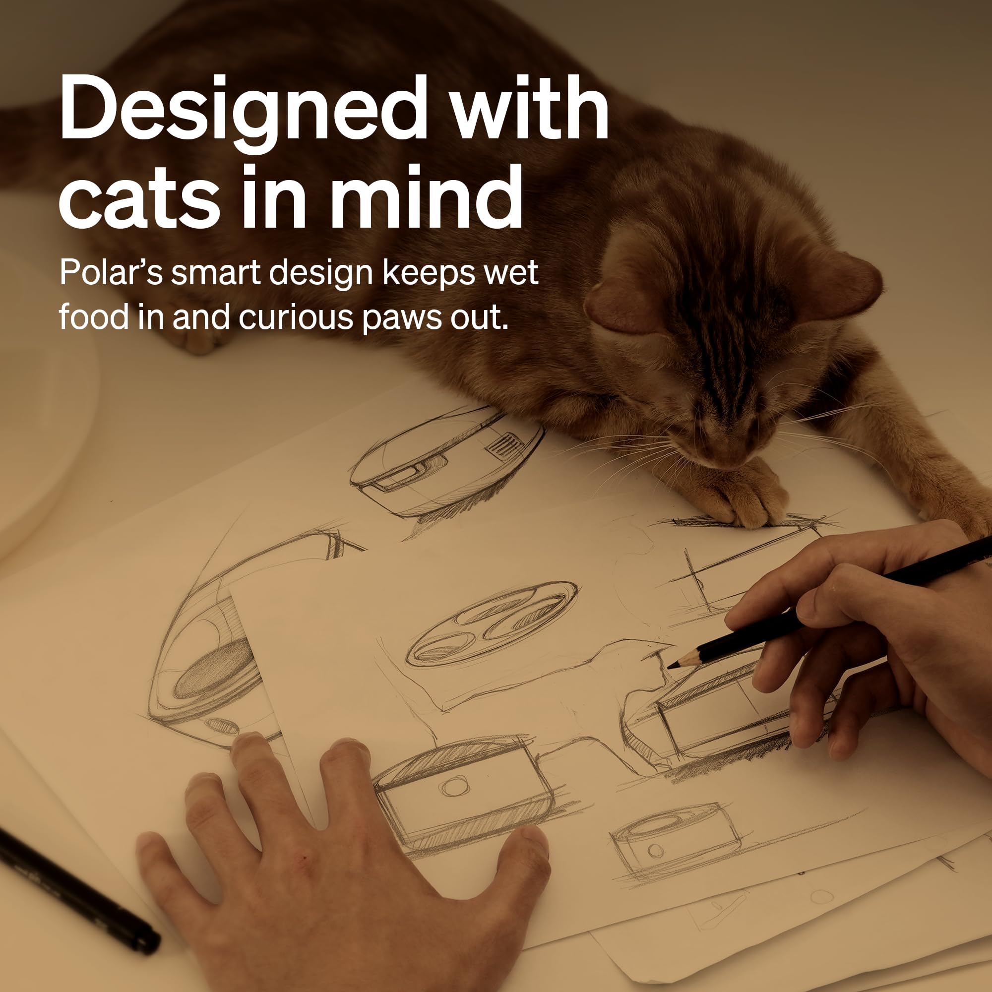 Automatic Cat Feeder with App Control and Freshness