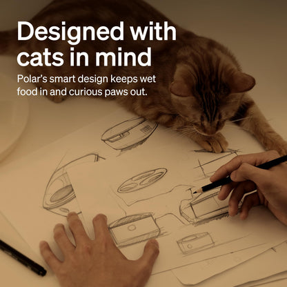 Automatic Cat Feeder with App Control and Freshness