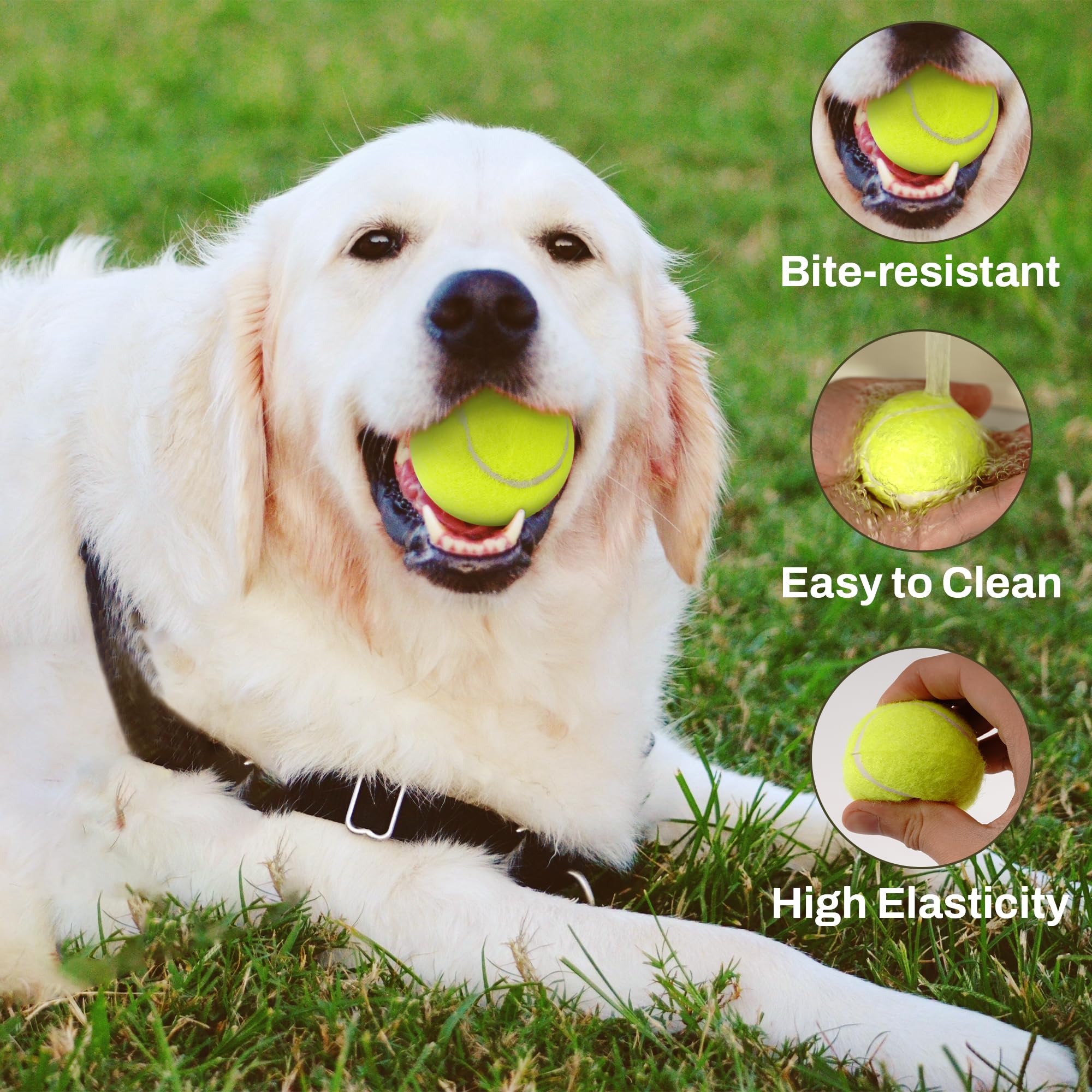 Automatic Dog Ball Launcher for Interactive Play