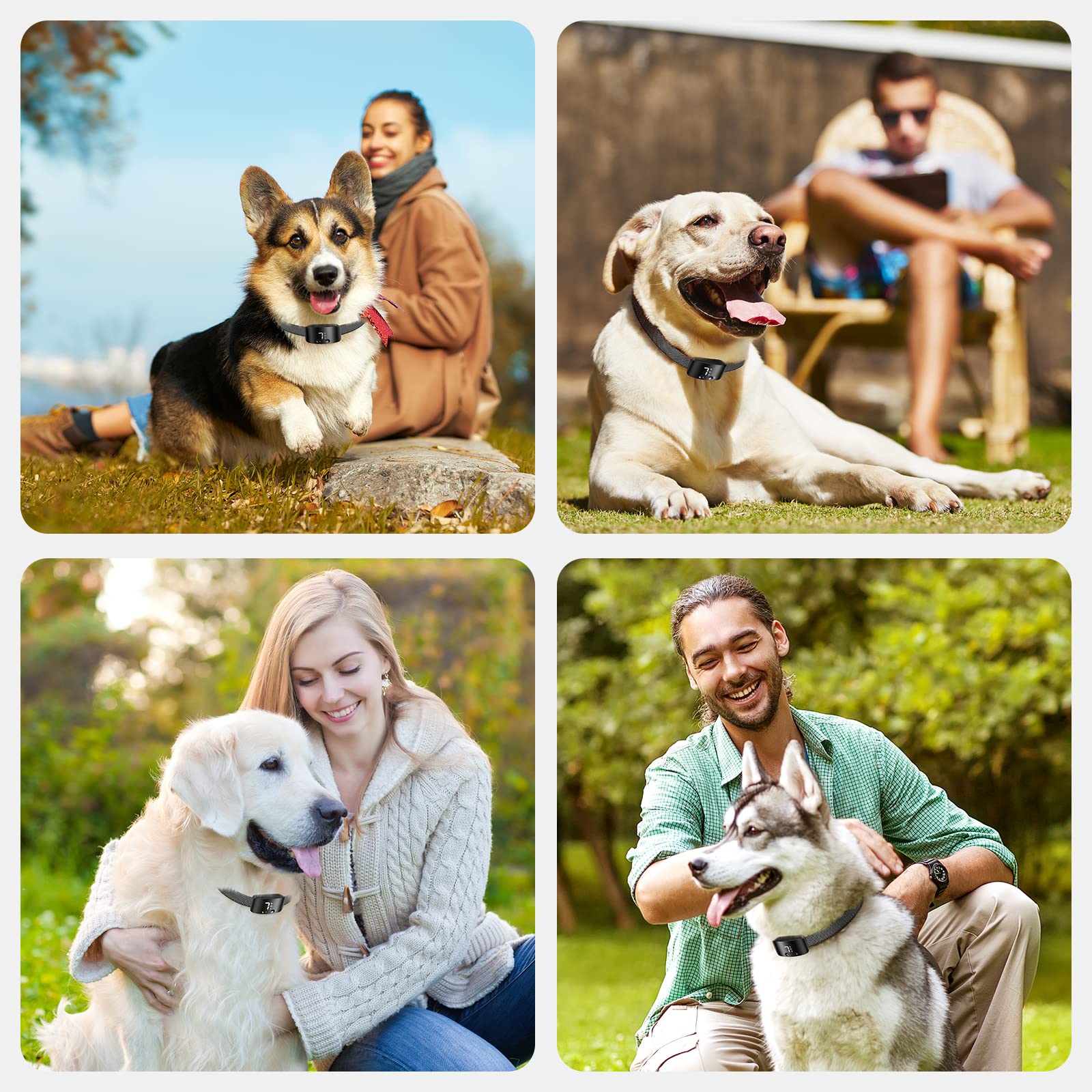 Rechargeable Anti Barking Collar for Dogs with Adjustable Sensitivity