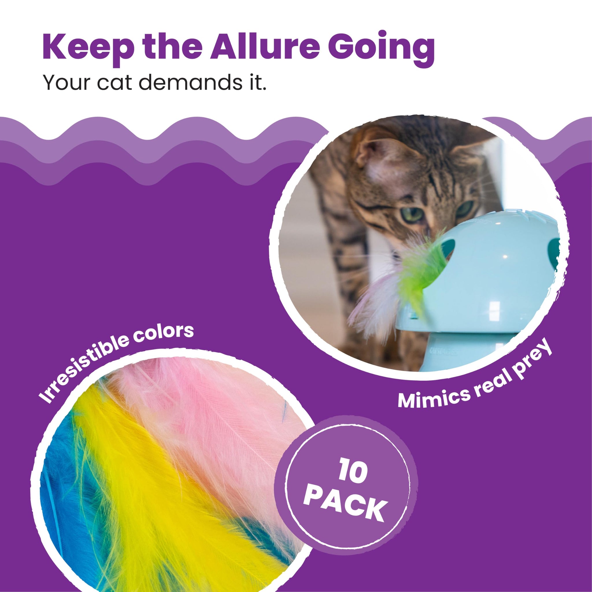 Interactive Flutter Dome Cat Toy for Indoor Play