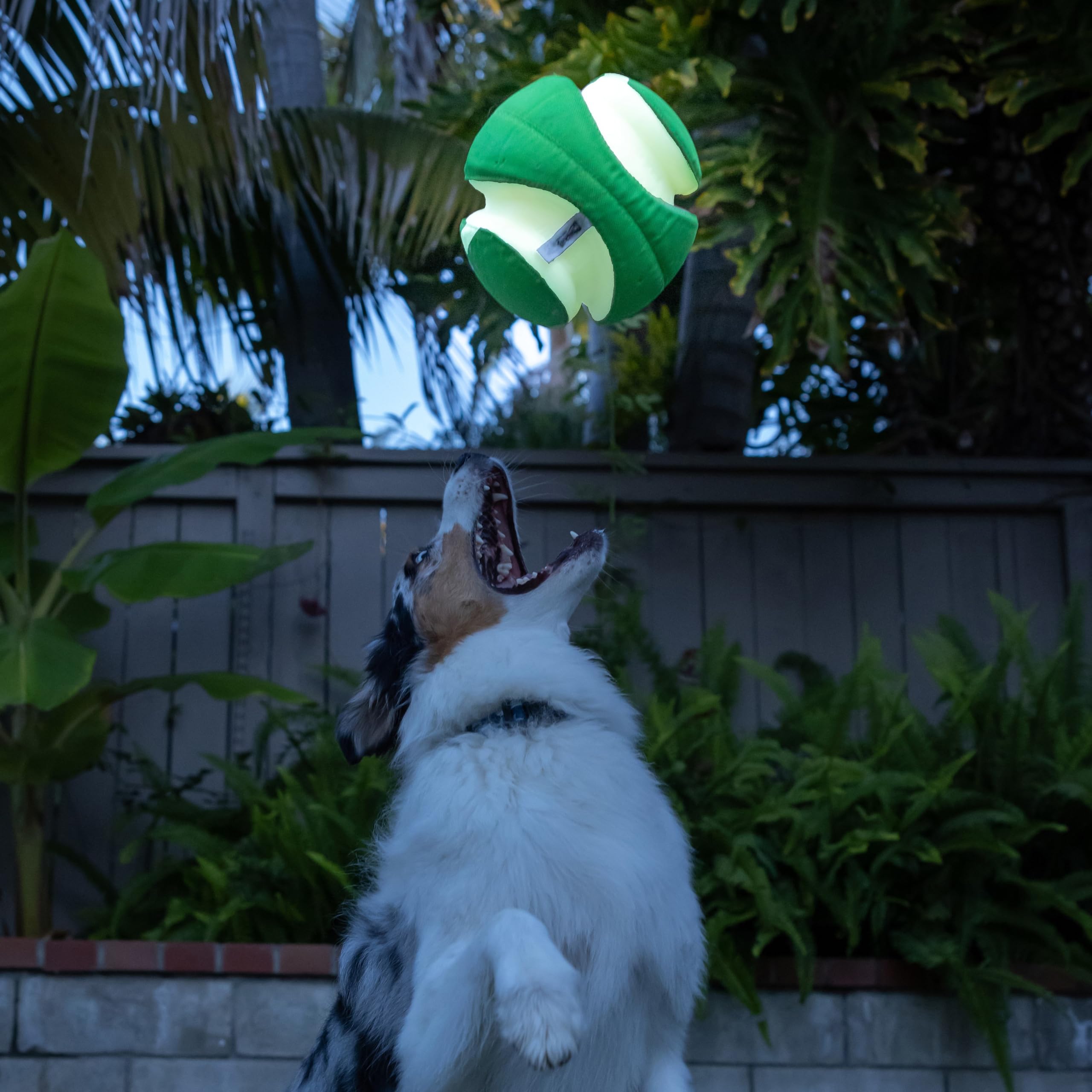 Chuckit Max Glow Kick Fetch Ball for Dogs