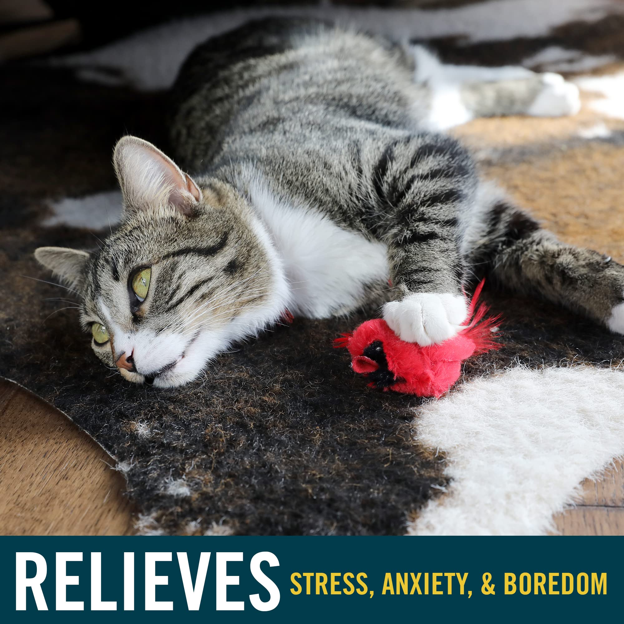 Interactive Cat Toys with Realistic Bird Sounds