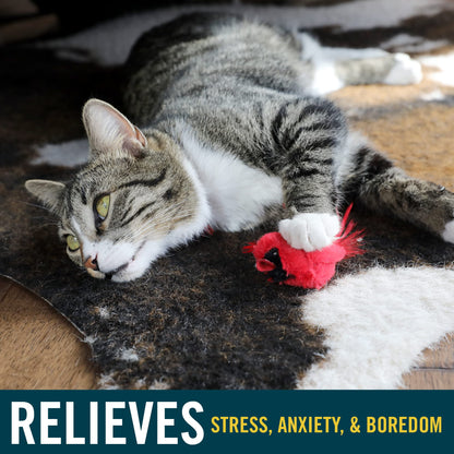 Interactive Cat Toys with Realistic Bird Sounds