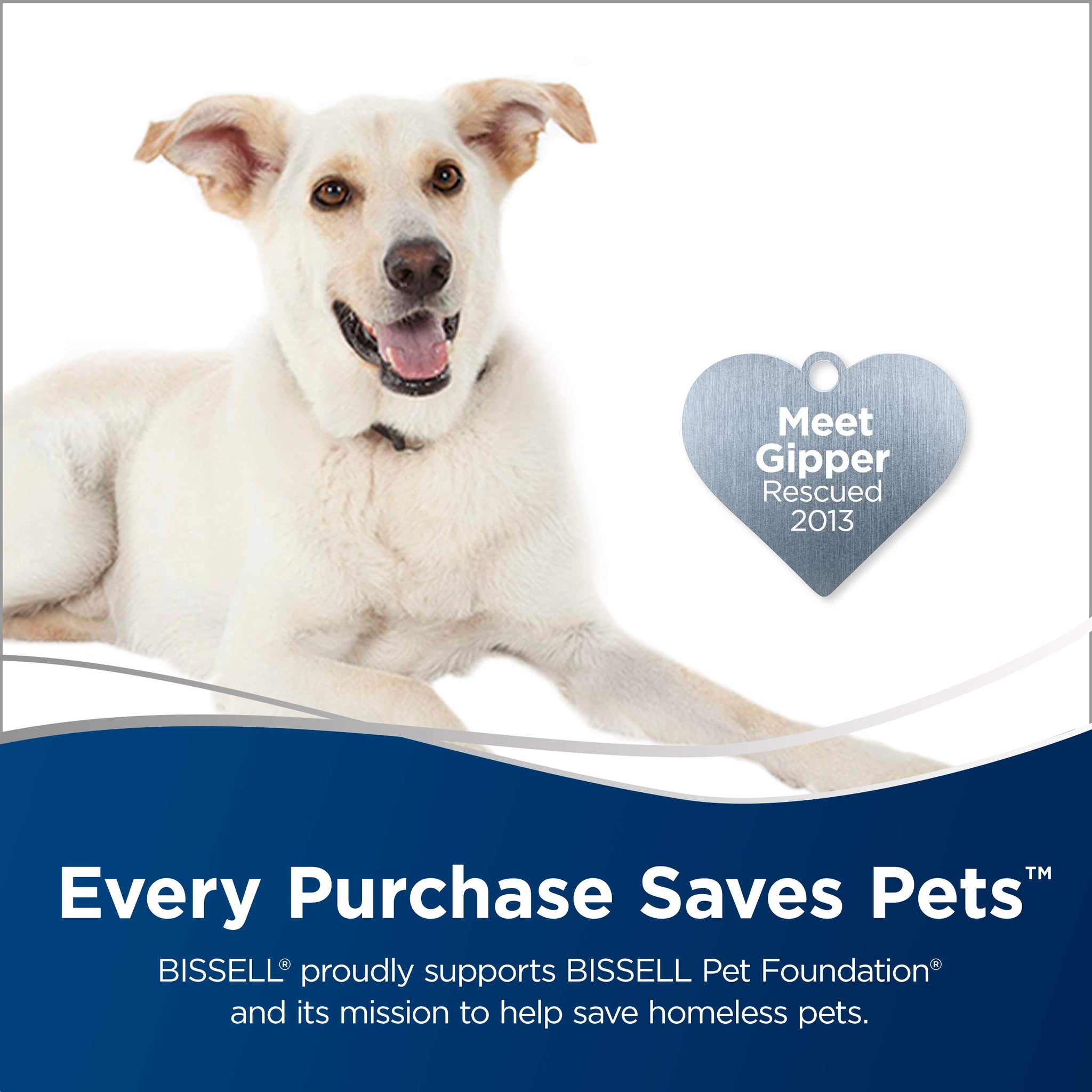 Bissell CleanView Swivel Vacuum for Powerful Pet Hair Pickup