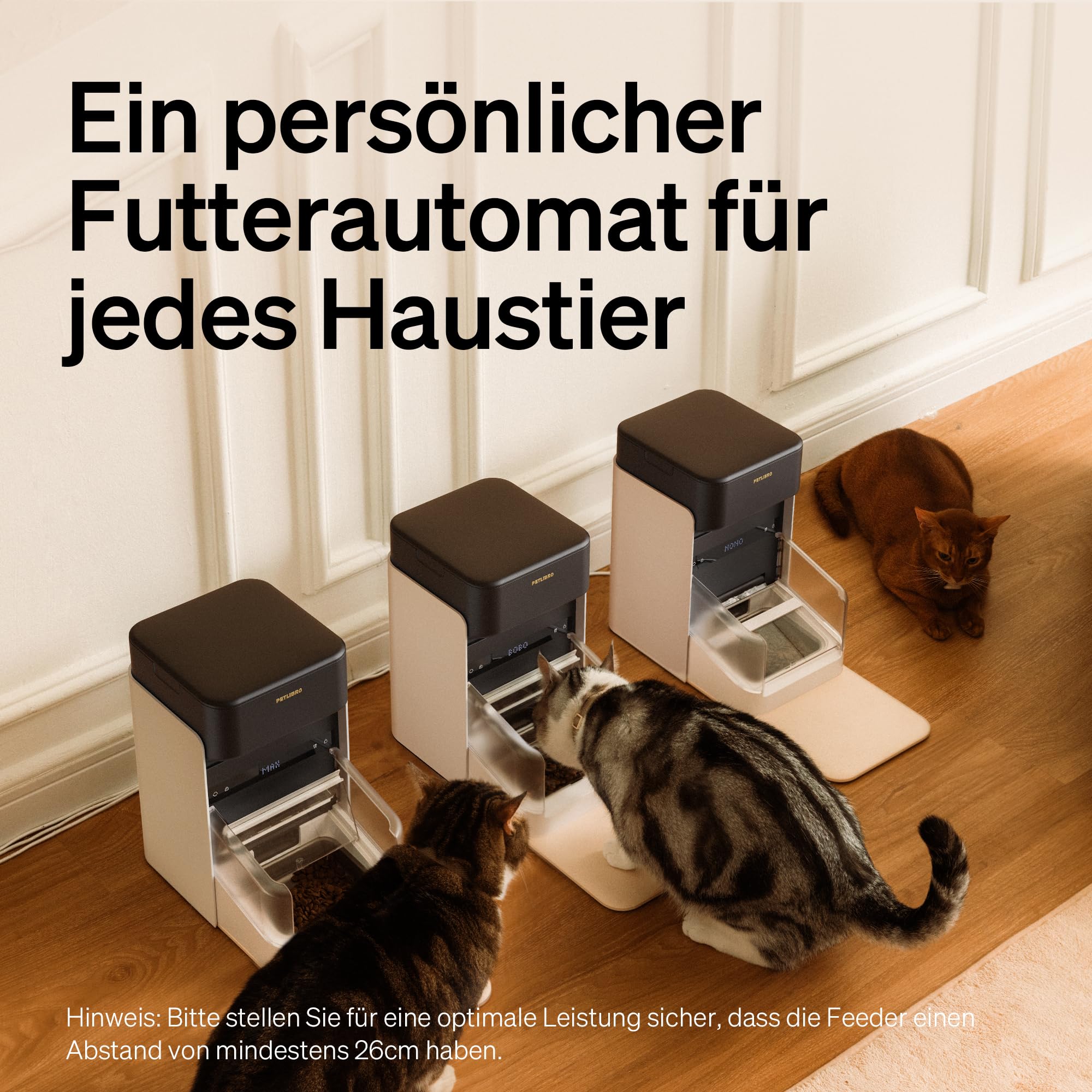Automatic Cat Feeder With App Control For Convenient Feeding