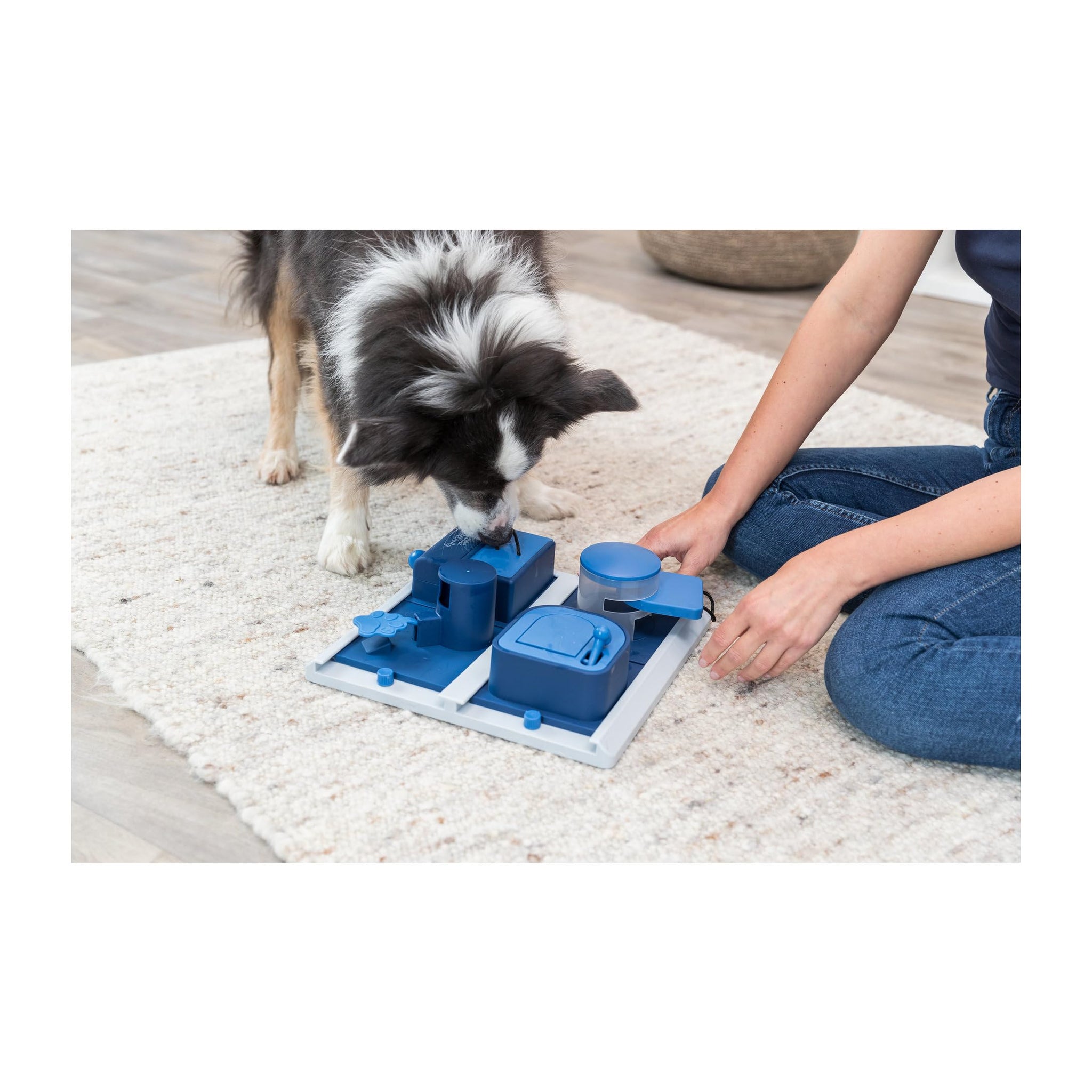 Trixie Move to Win Level 3 Dog Puzzle Game