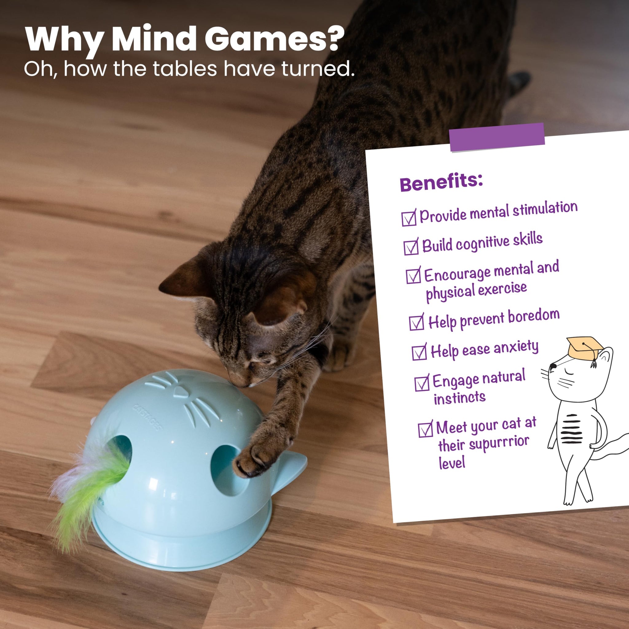 Interactive Flutter Dome Cat Toy for Indoor Play