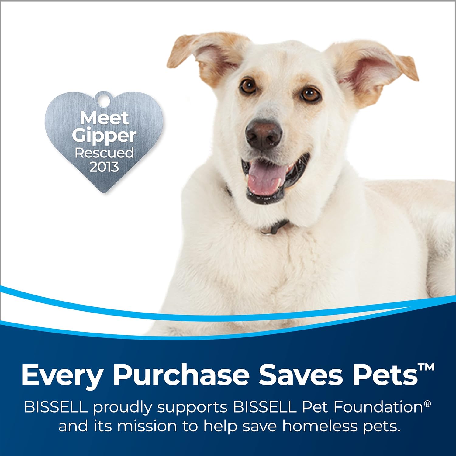 Bissell Featherweight PowerBrush Ultra Lightweight Vacuum