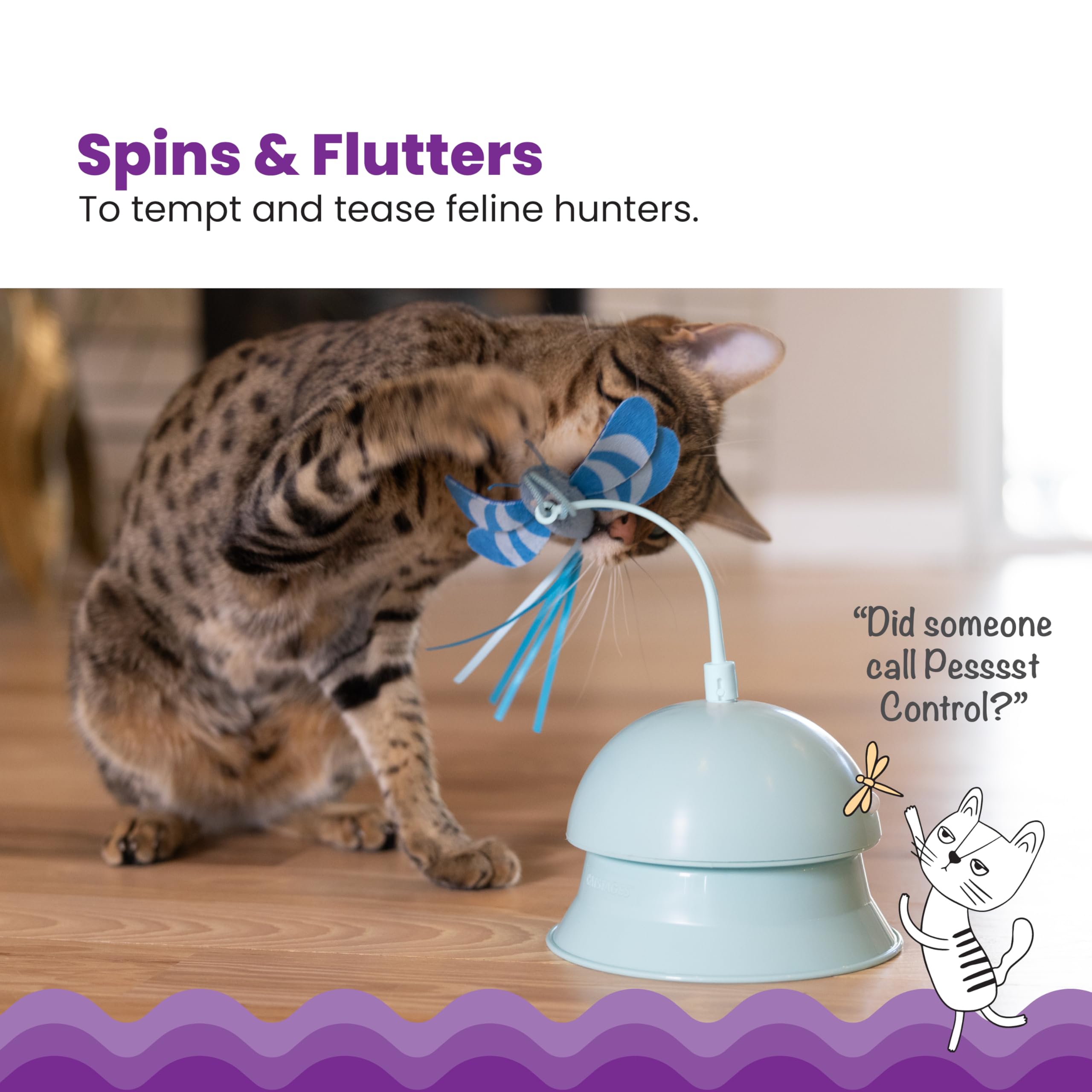 Interactive Flutter Dome Cat Toy for Indoor Play