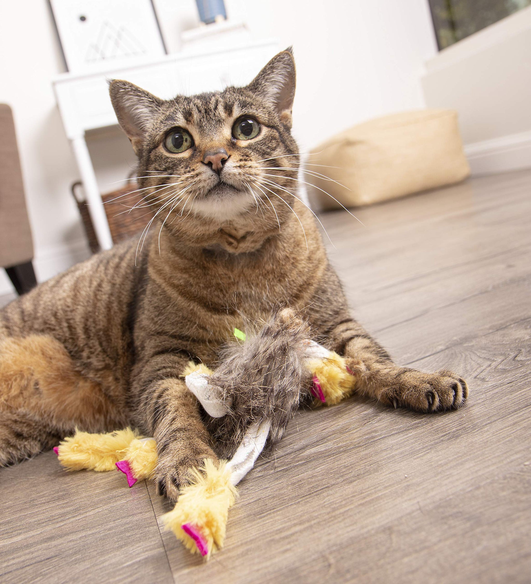 Interactive Cat Toy with Light and HappyNip Blend