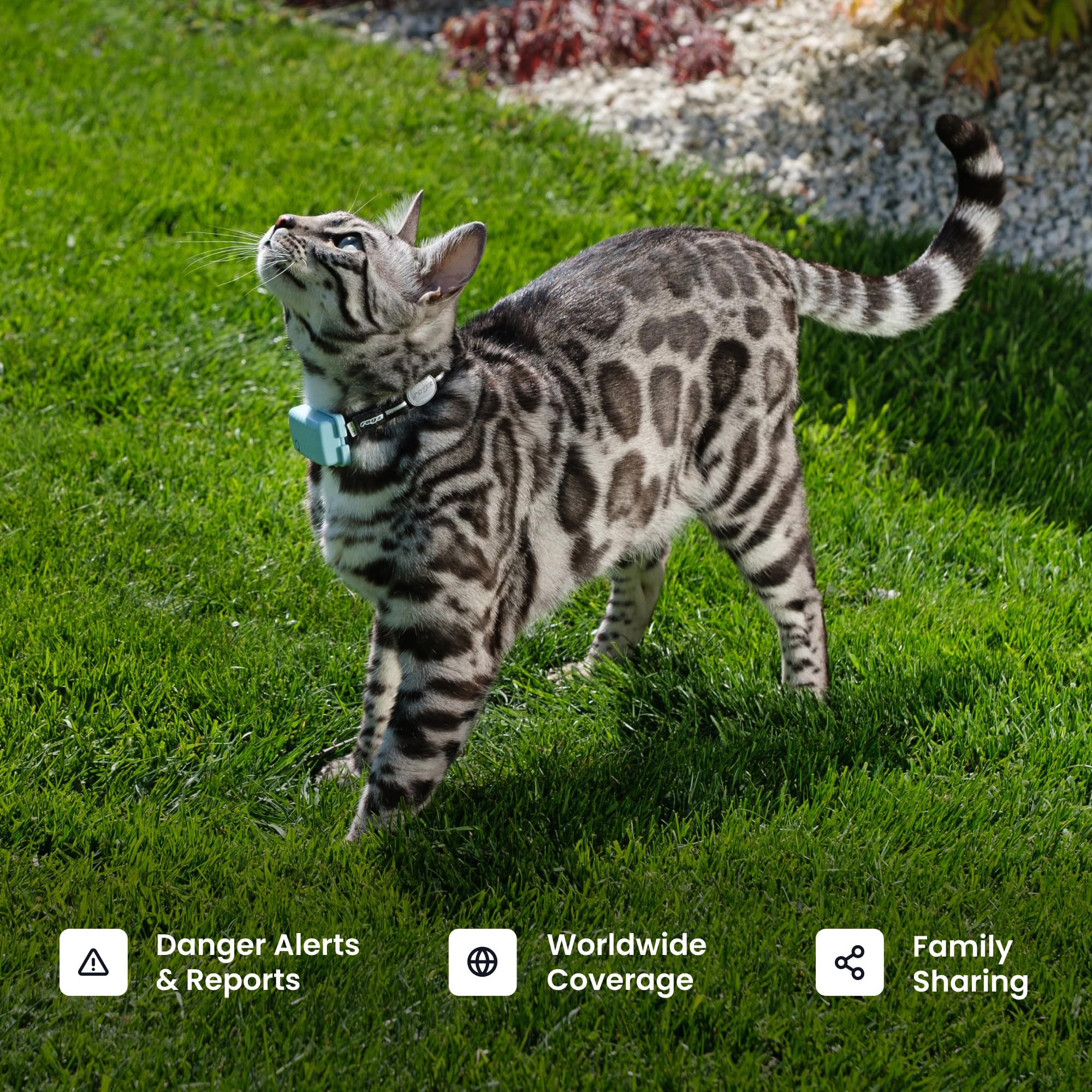 Tractive Smart Cat GPS Tracker with Real Time Monitoring