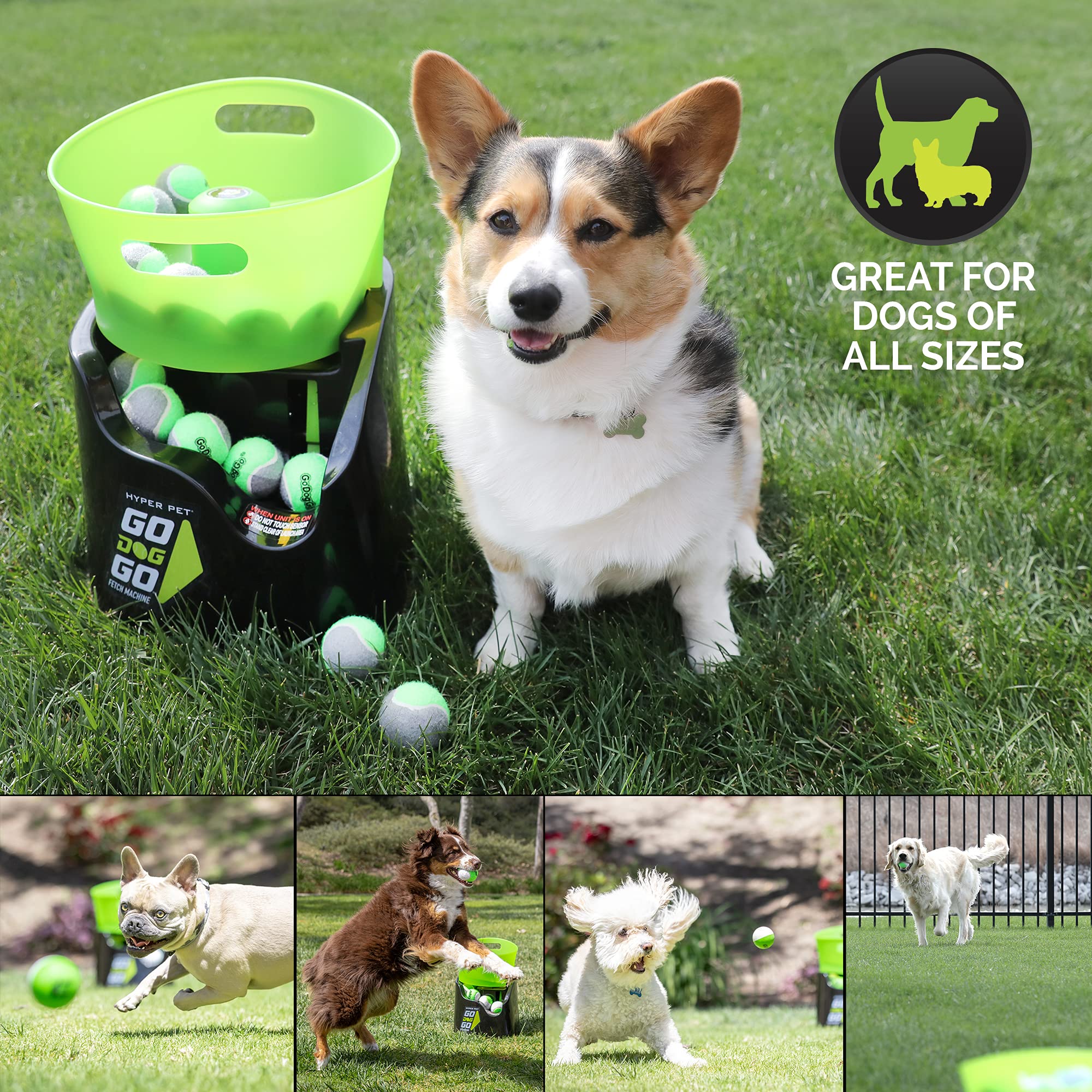 Automatic Ball Launcher for Dogs with Remote Control