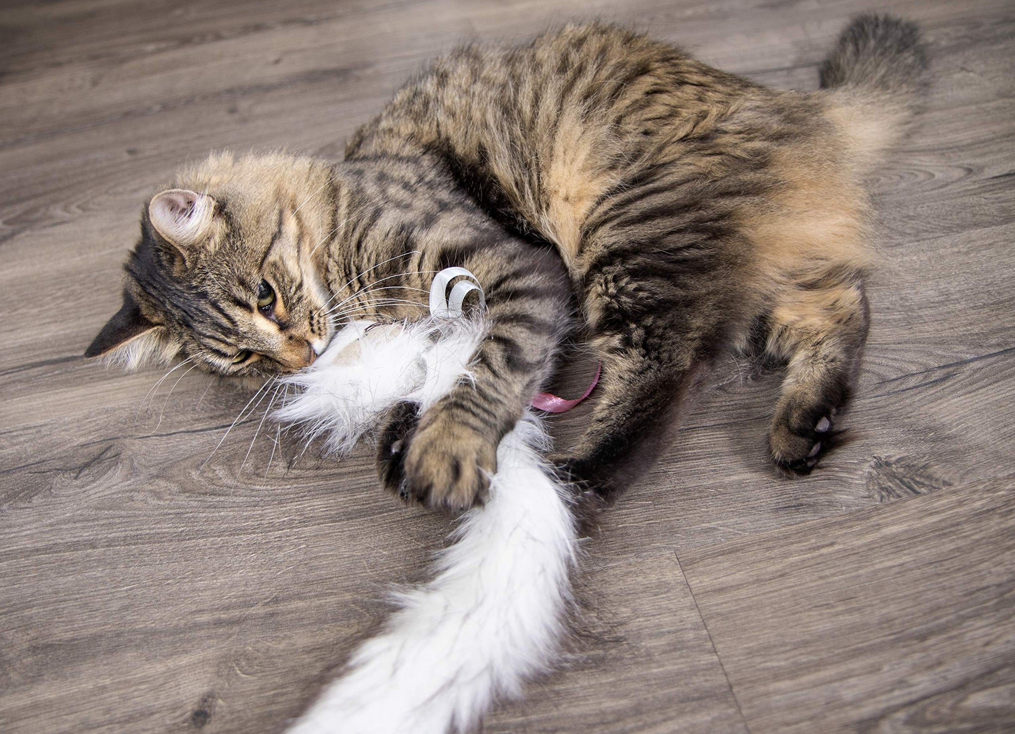 SmartyKat Chit Chatter Cat Toy with Realistic Sounds