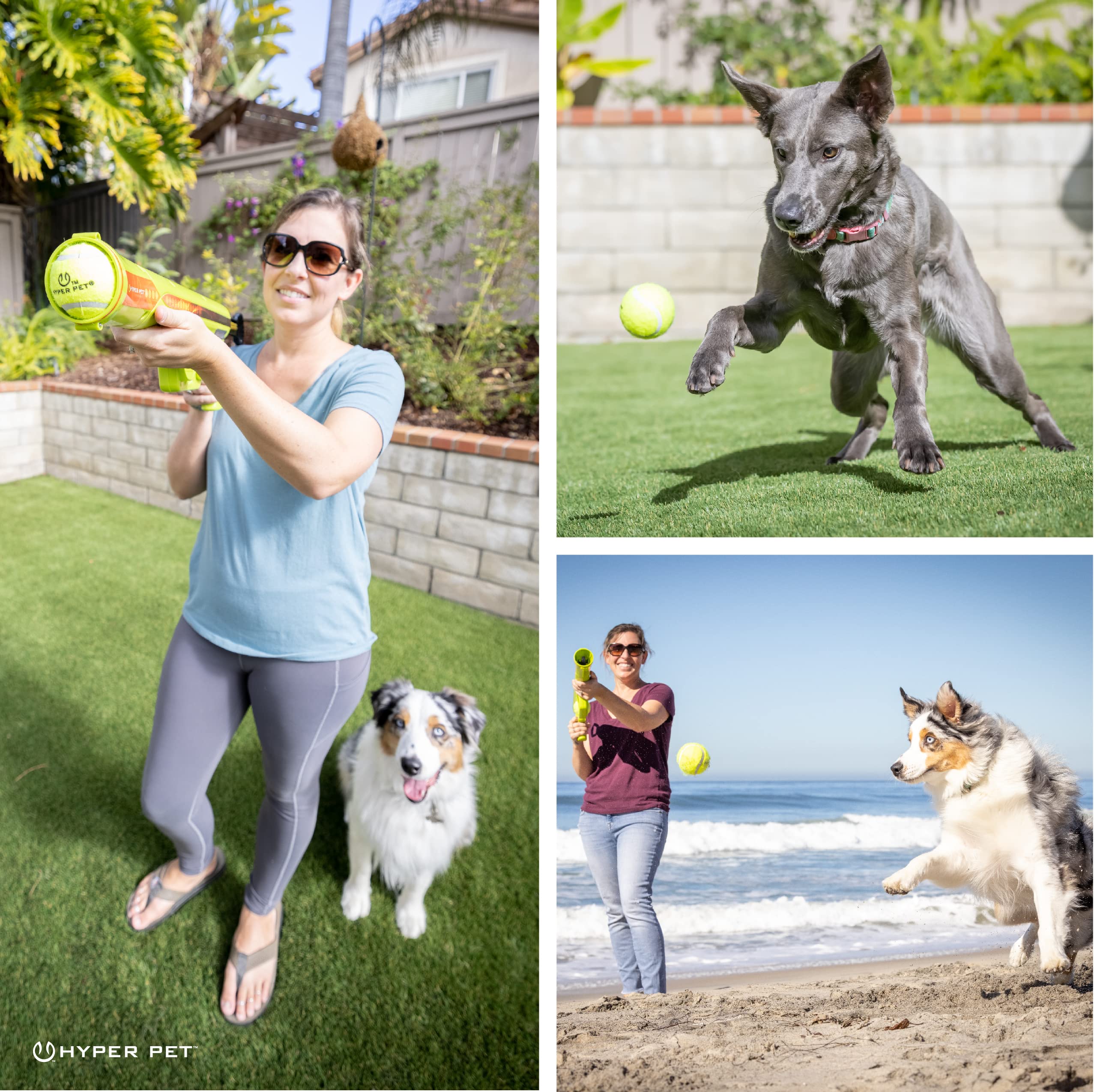 Automatic Ball Launcher for Dogs with Remote Control