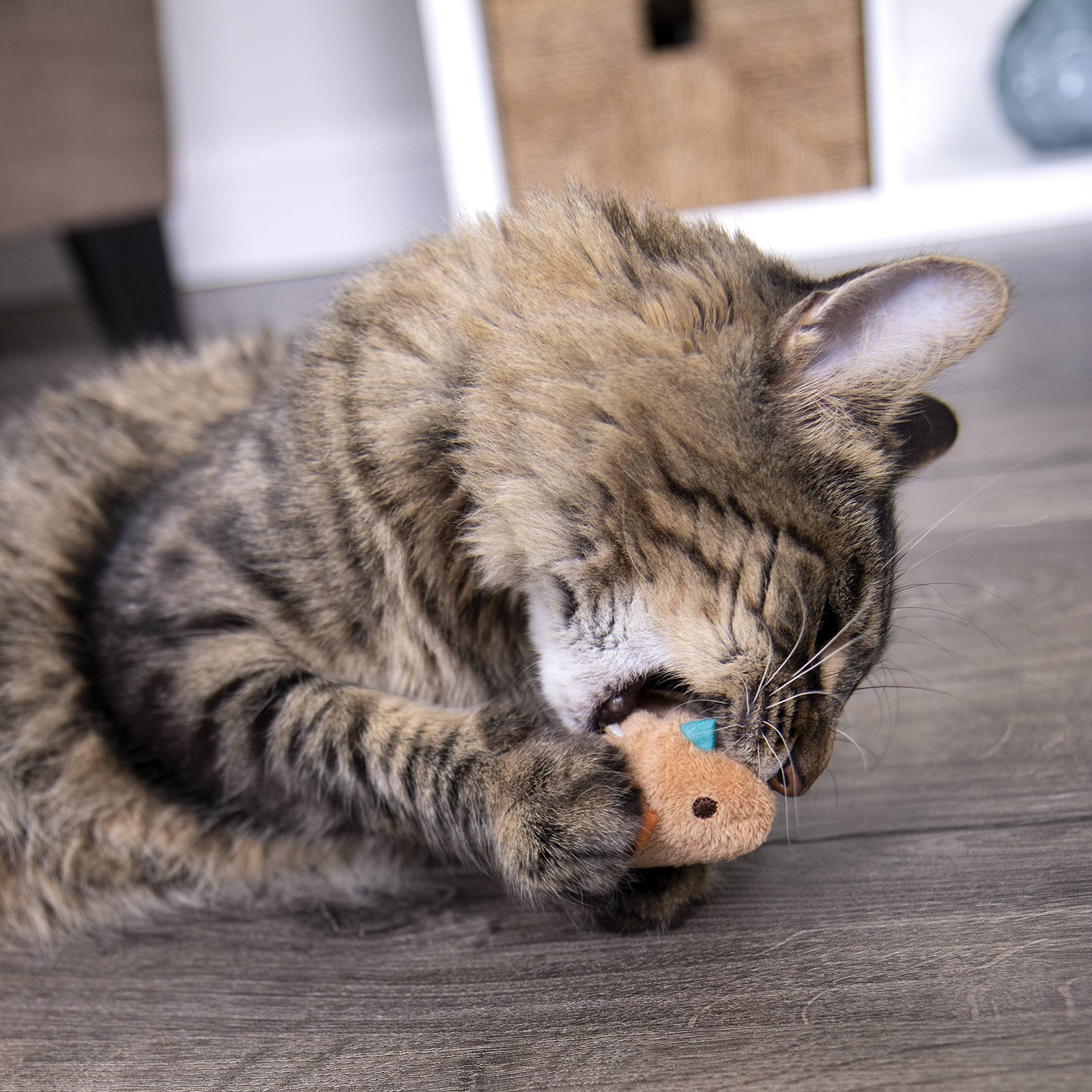 SmartyKat Chit Chatter Cat Toy with Realistic Sounds