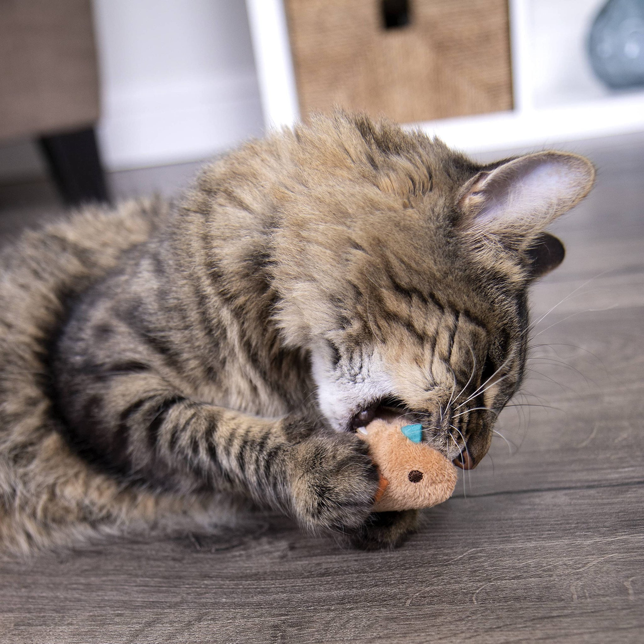 SmartyKat Chit Chatter Cat Toy with Realistic Sounds