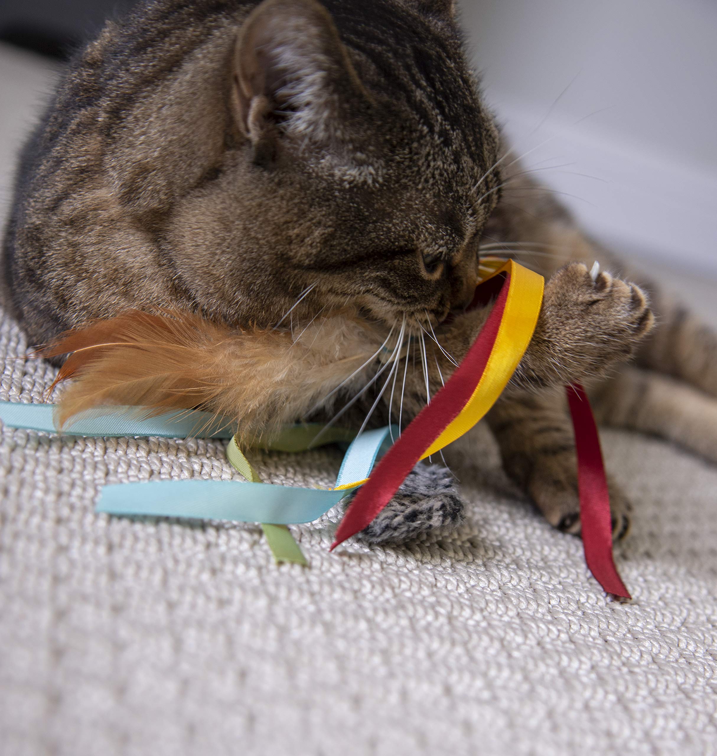 Interactive Cat Toy with Light and HappyNip Blend
