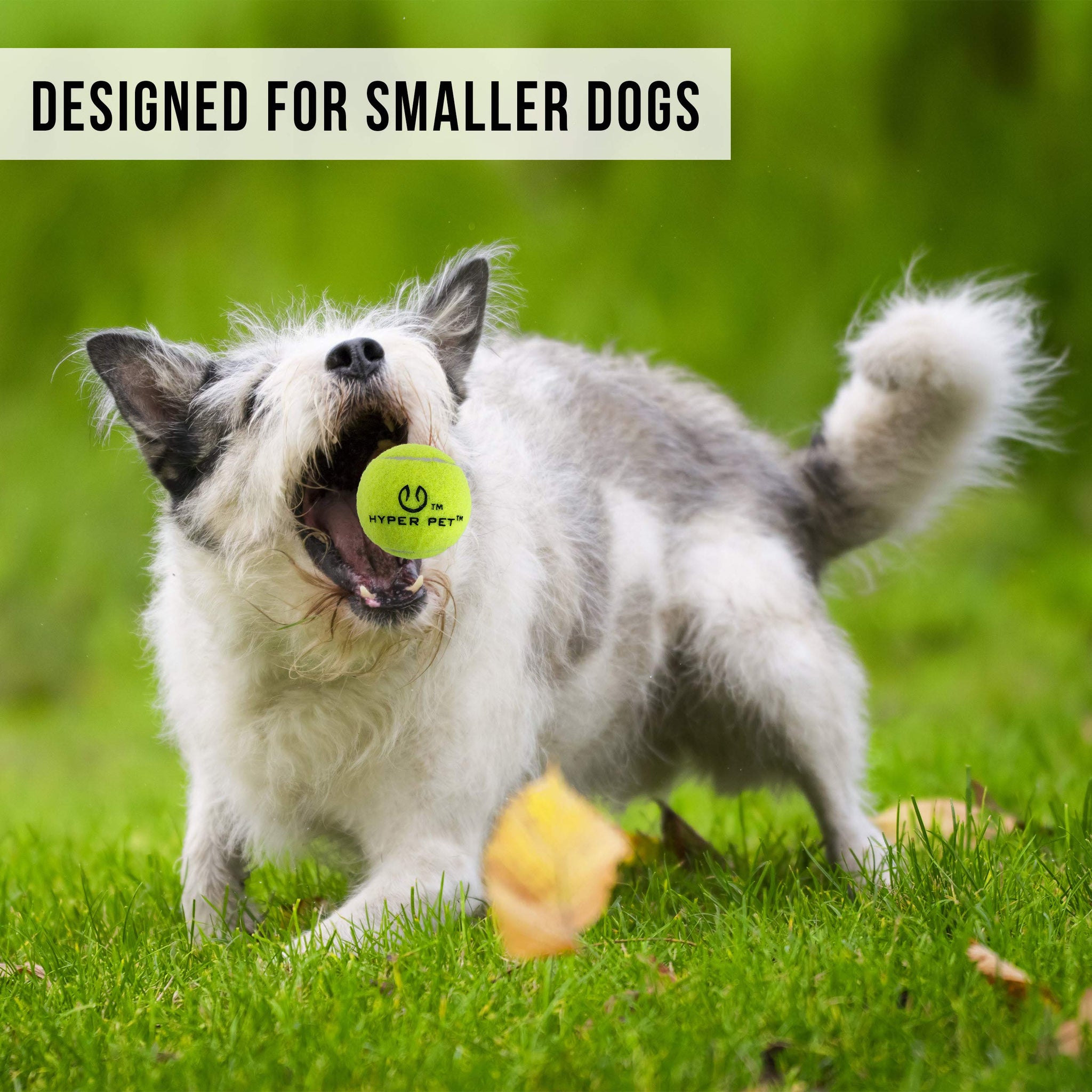 Automatic Ball Launcher for Dogs with Remote Control