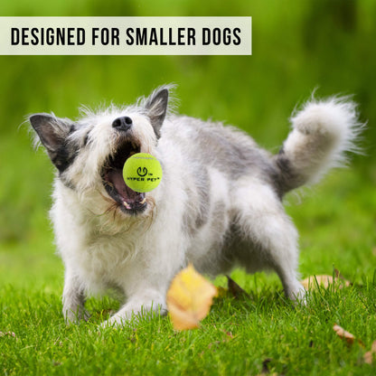Automatic Ball Launcher for Dogs with Remote Control