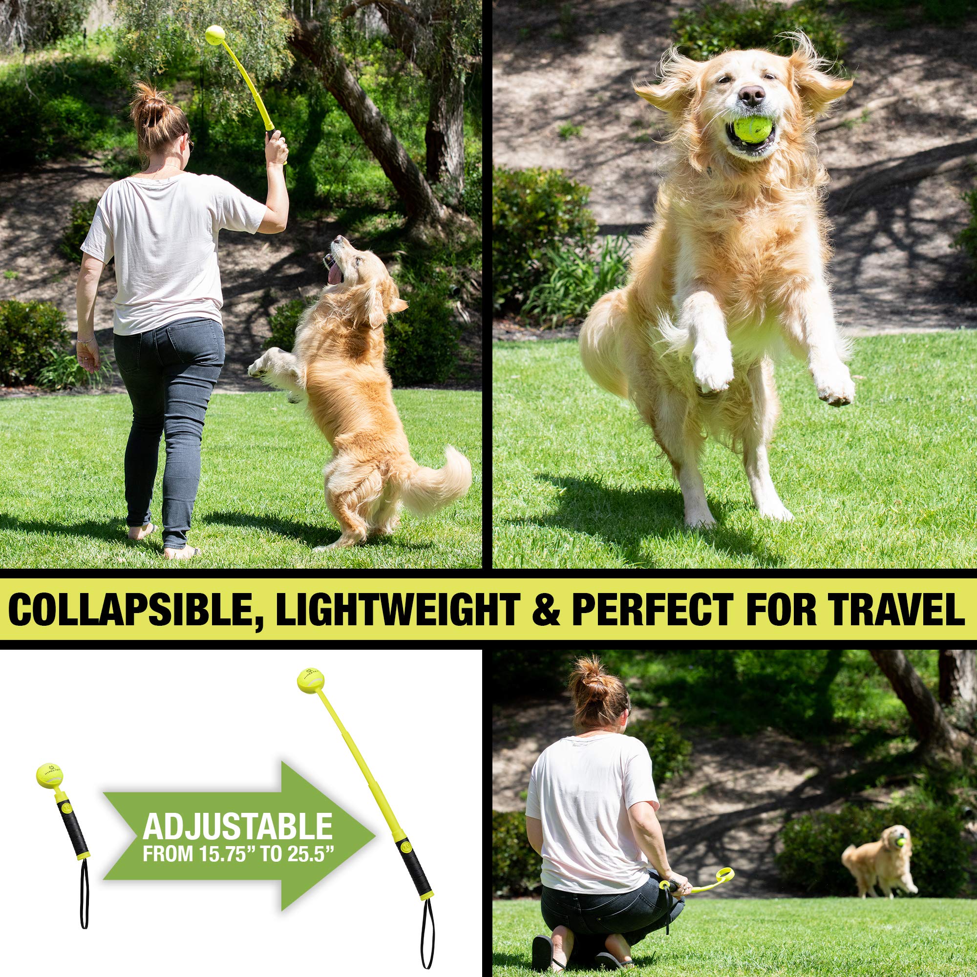 Automatic Ball Launcher for Dogs with Remote Control