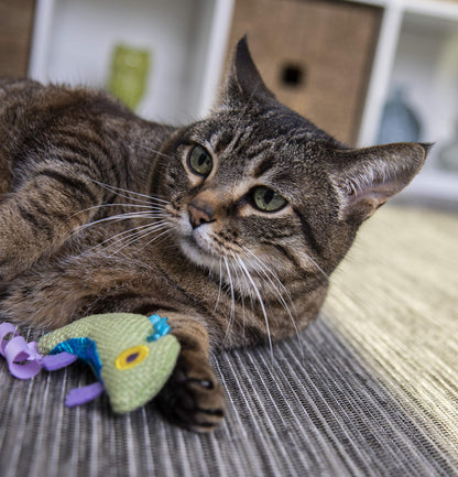 Interactive Cat Toy with Light and HappyNip Blend