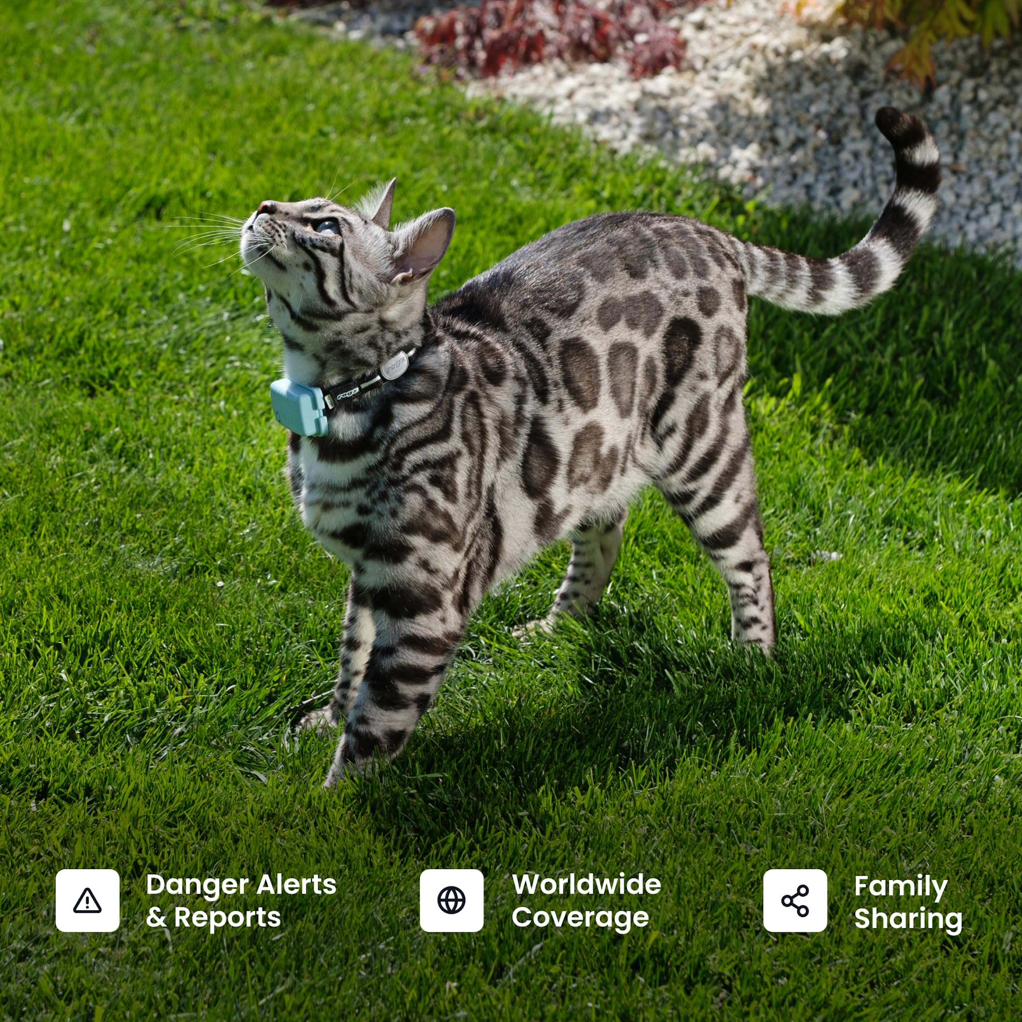 Tractive Smart Cat GPS Tracker with Real Time Monitoring