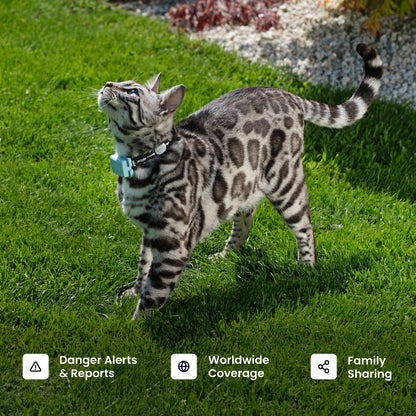 Tractive Smart Cat GPS Tracker with Real Time Monitoring