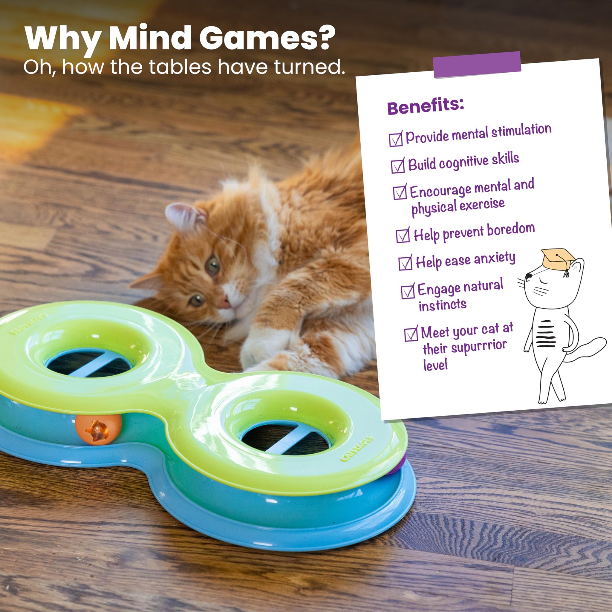 Interactive Three Level Cat Track Toy for Endless Fun
