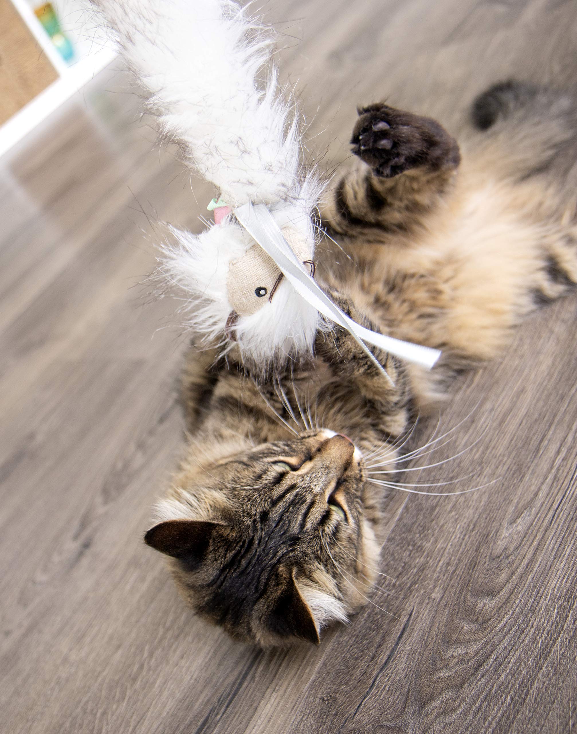 SmartyKat Chit Chatter Cat Toy with Realistic Sounds