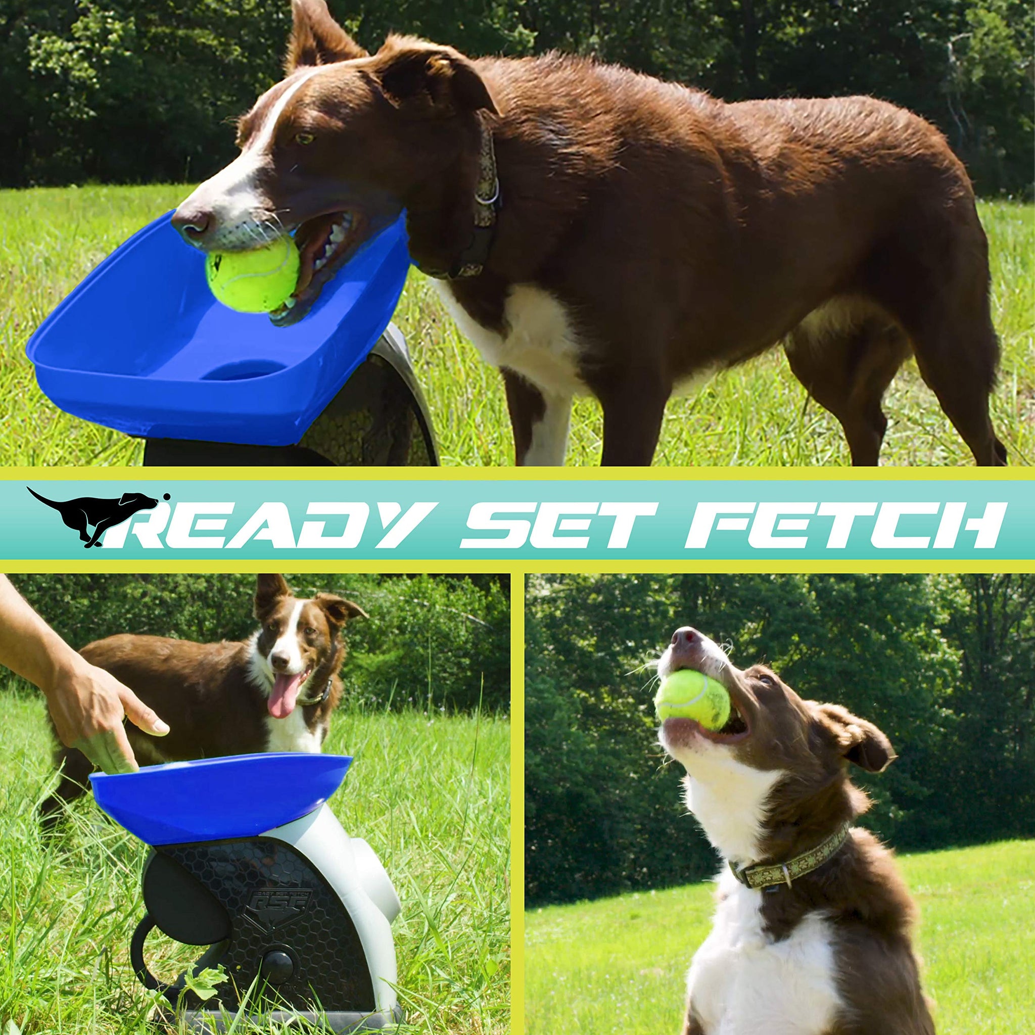 Automatic Tennis Ball Launcher for Endless Dog Play