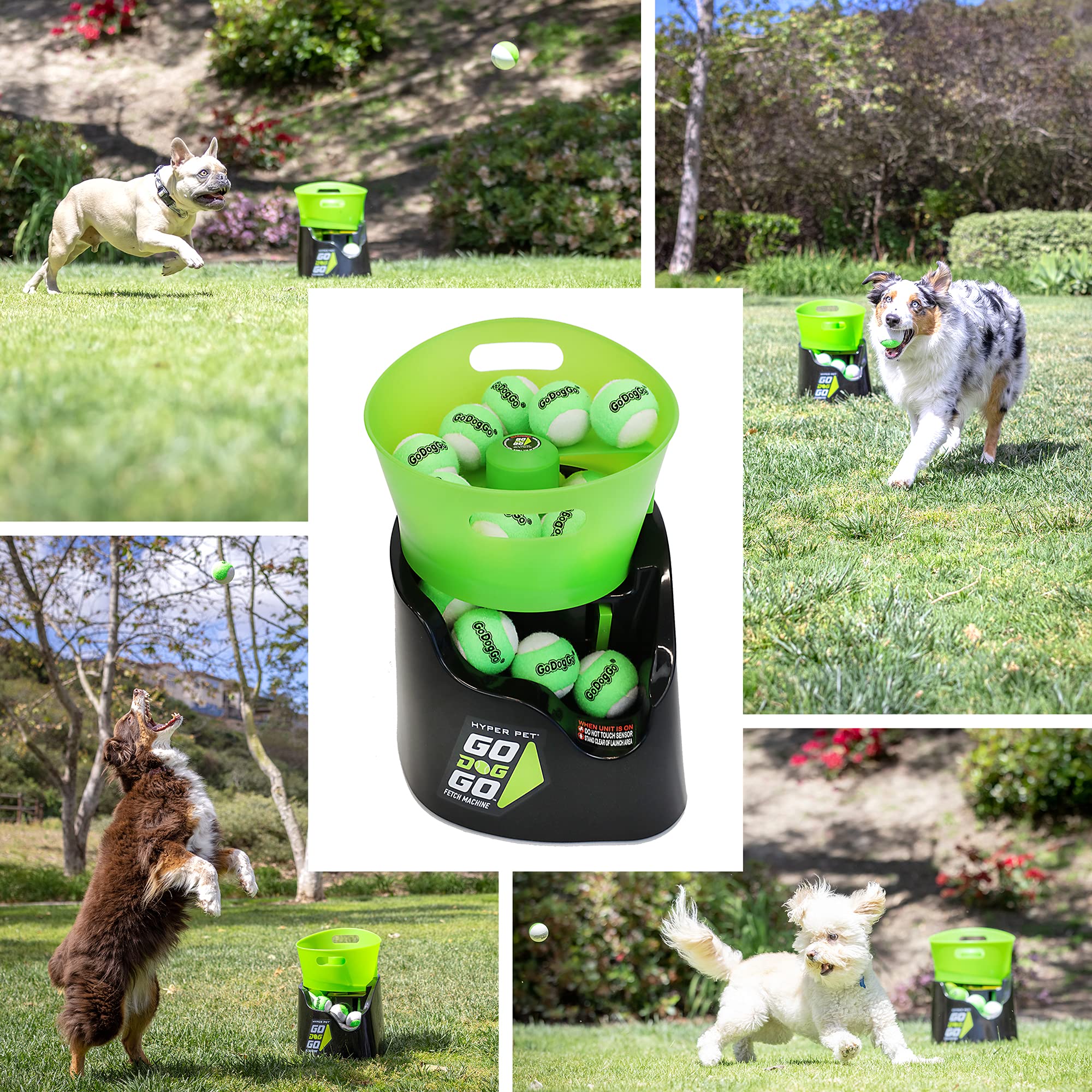 Automatic Ball Launcher for Dogs with Remote Control