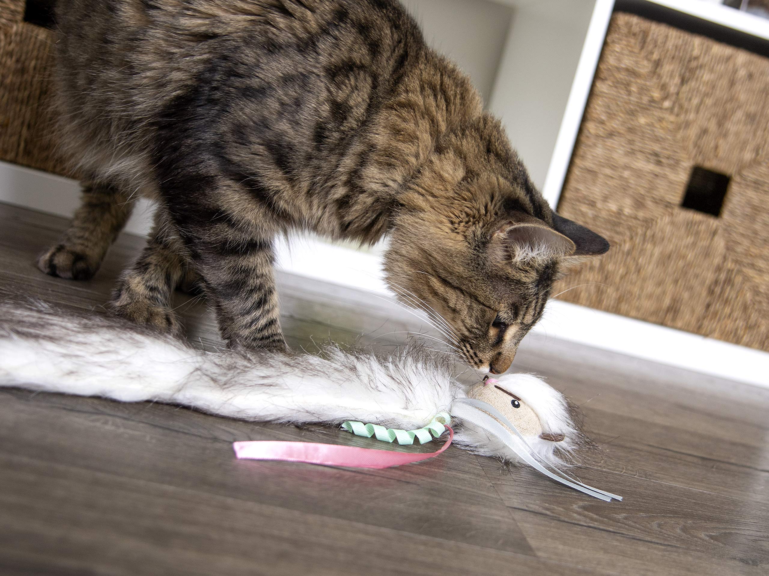 SmartyKat Chit Chatter Cat Toy with Realistic Sounds