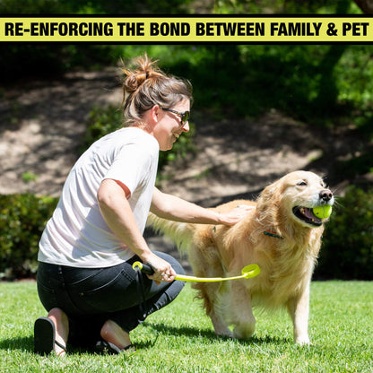 Automatic Ball Launcher for Dogs with Remote Control