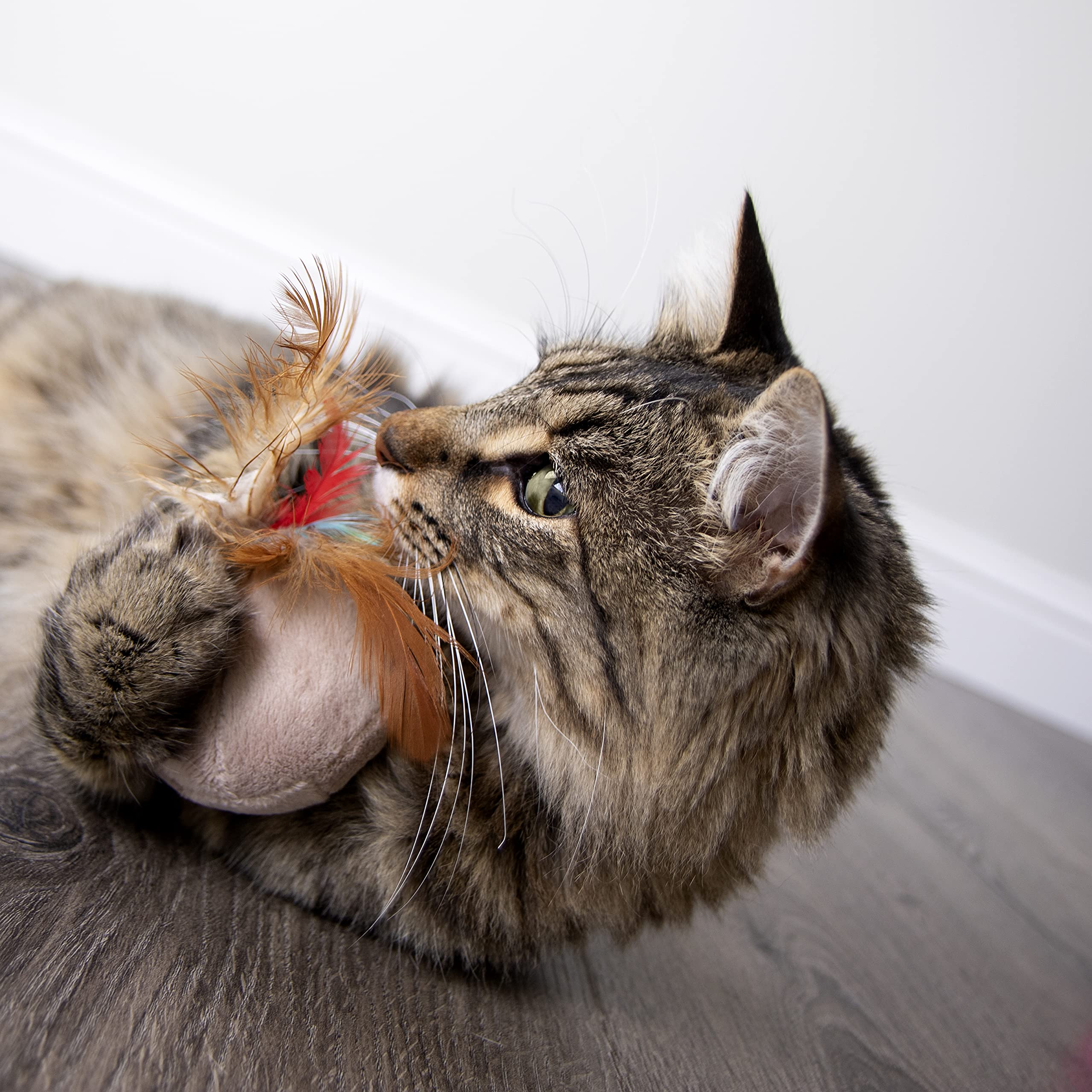 SmartyKat Chit Chatter Cat Toy with Realistic Sounds