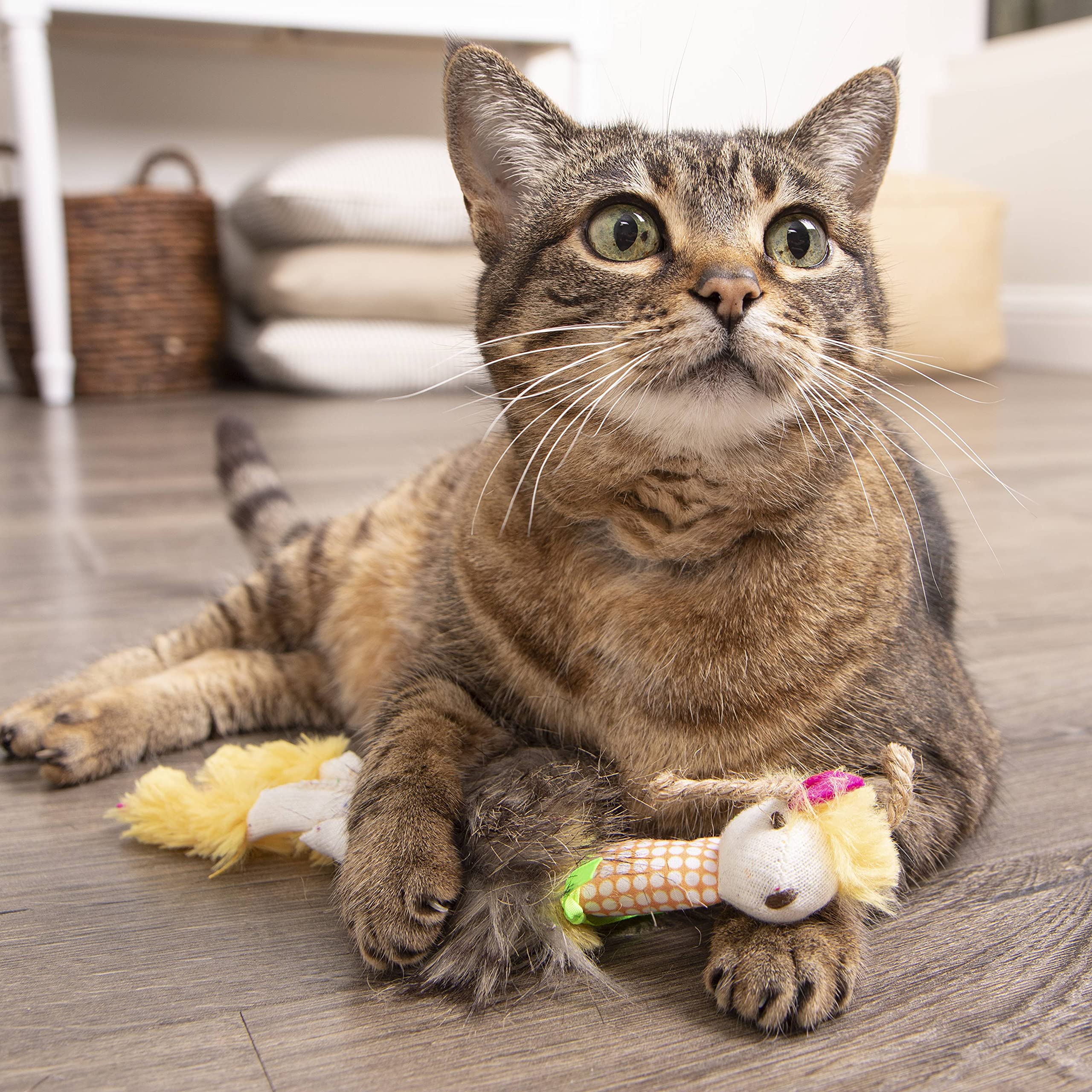 Interactive Cat Toy with Light and HappyNip Blend