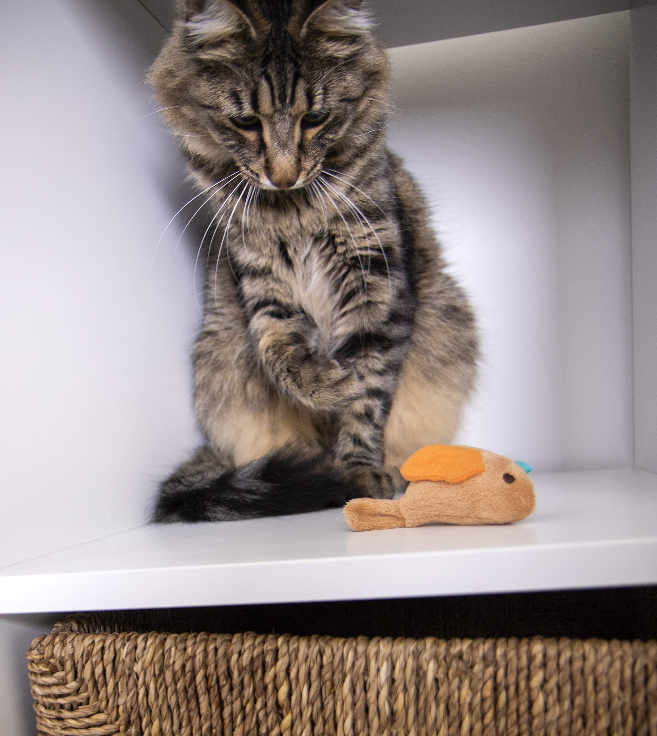SmartyKat Chit Chatter Cat Toy with Realistic Sounds