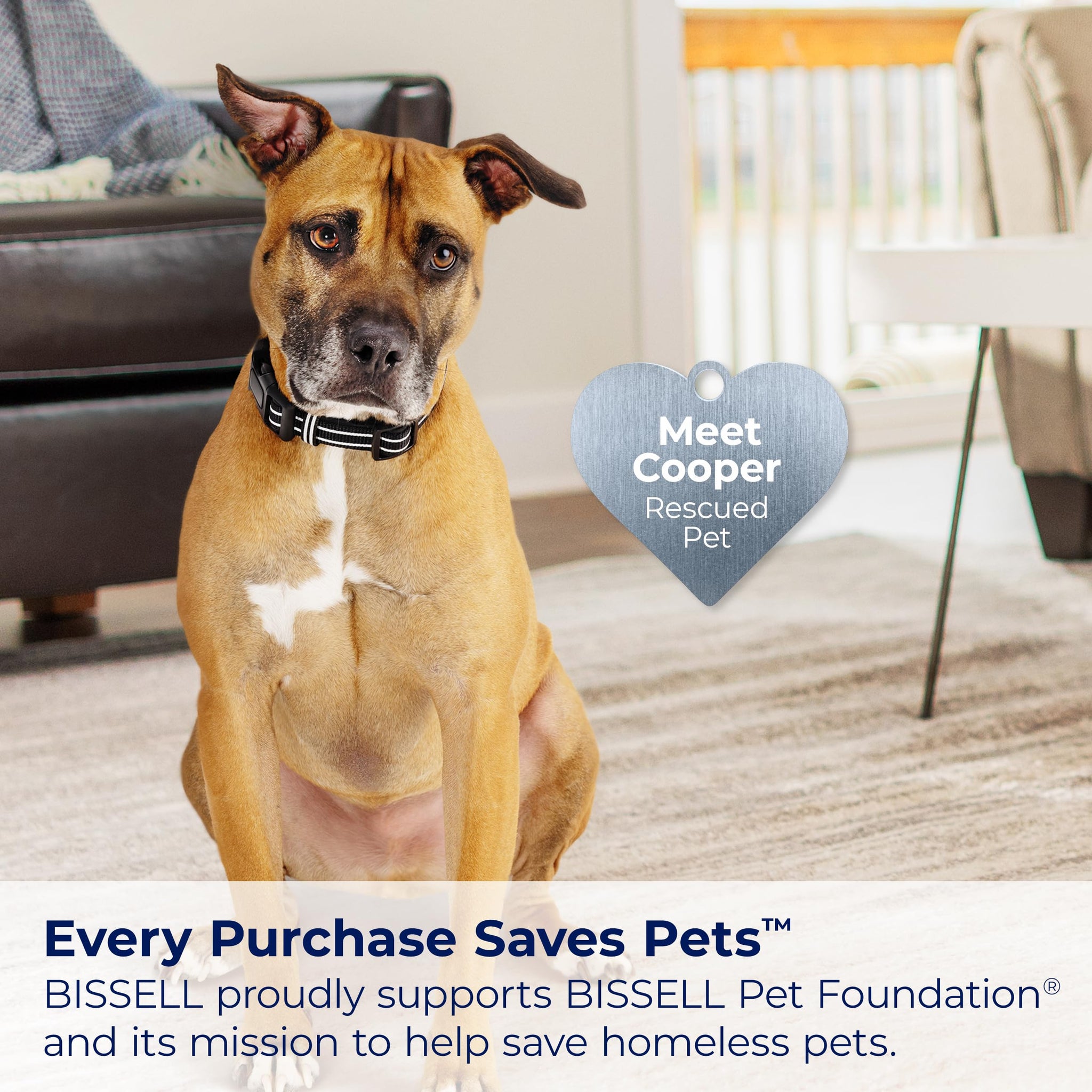 Bissell CleanView Swivel Vacuum for Powerful Pet Hair Pickup