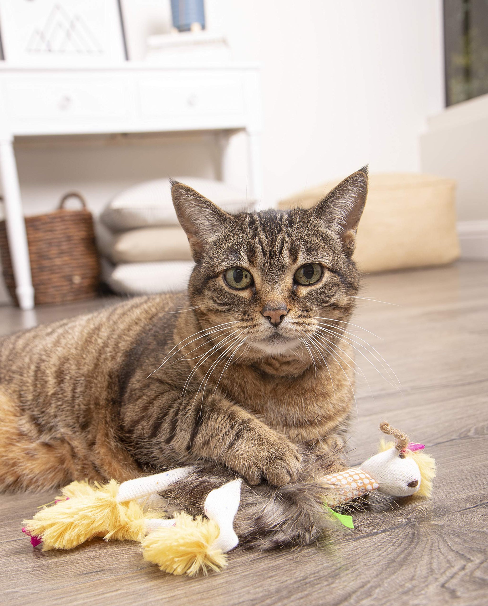 Interactive Cat Toy with Light and HappyNip Blend