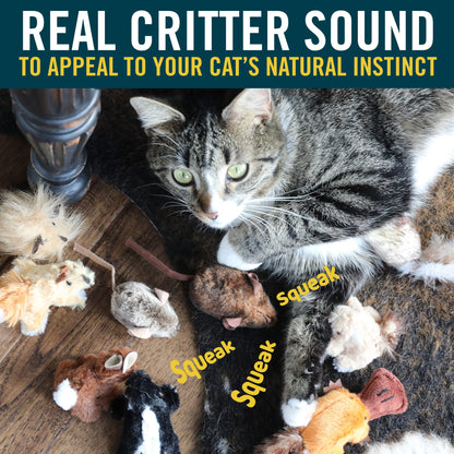 Interactive Cat Toy Pack with Real Mouse Sound