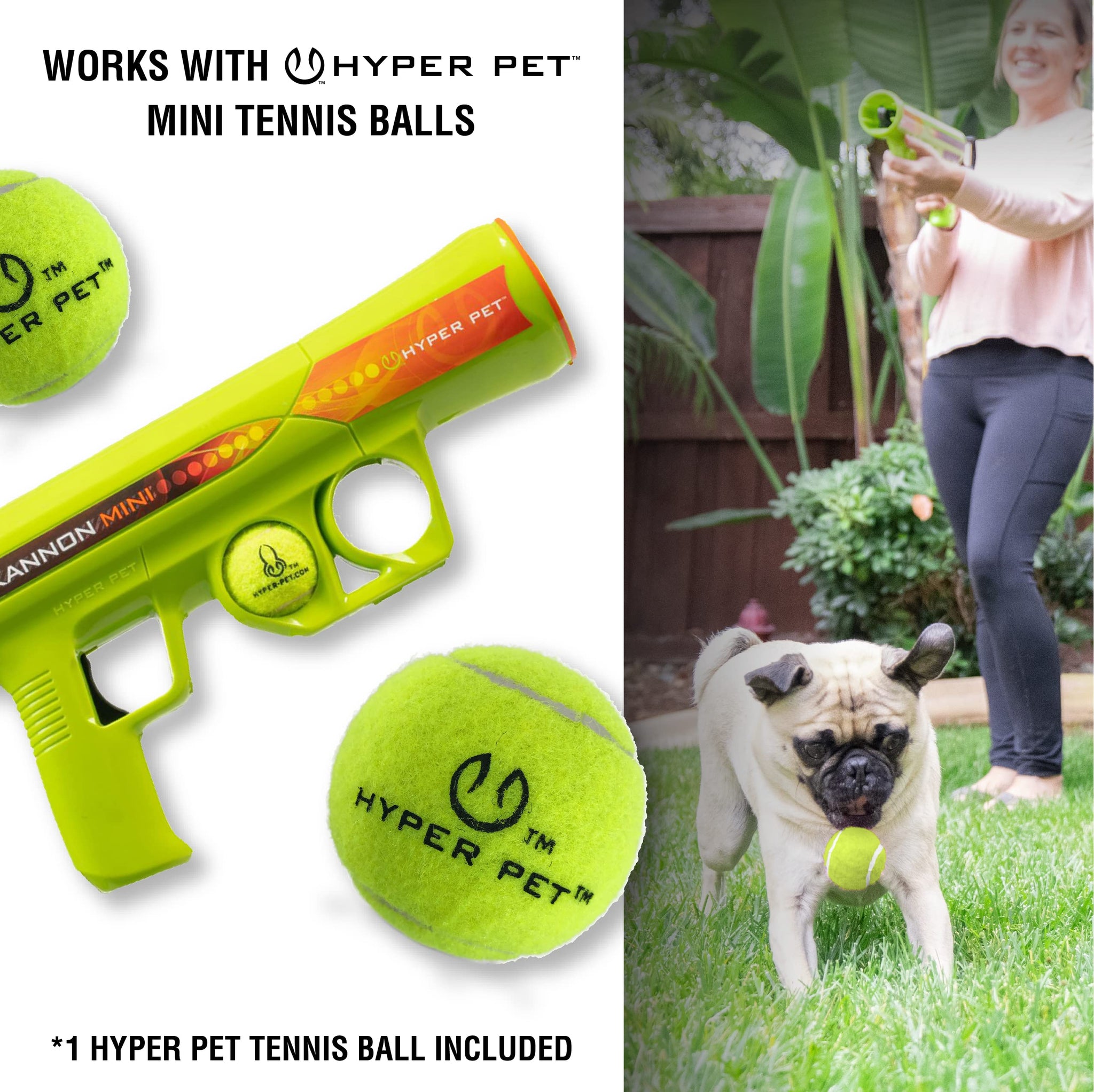 Automatic Ball Launcher for Dogs with Remote Control