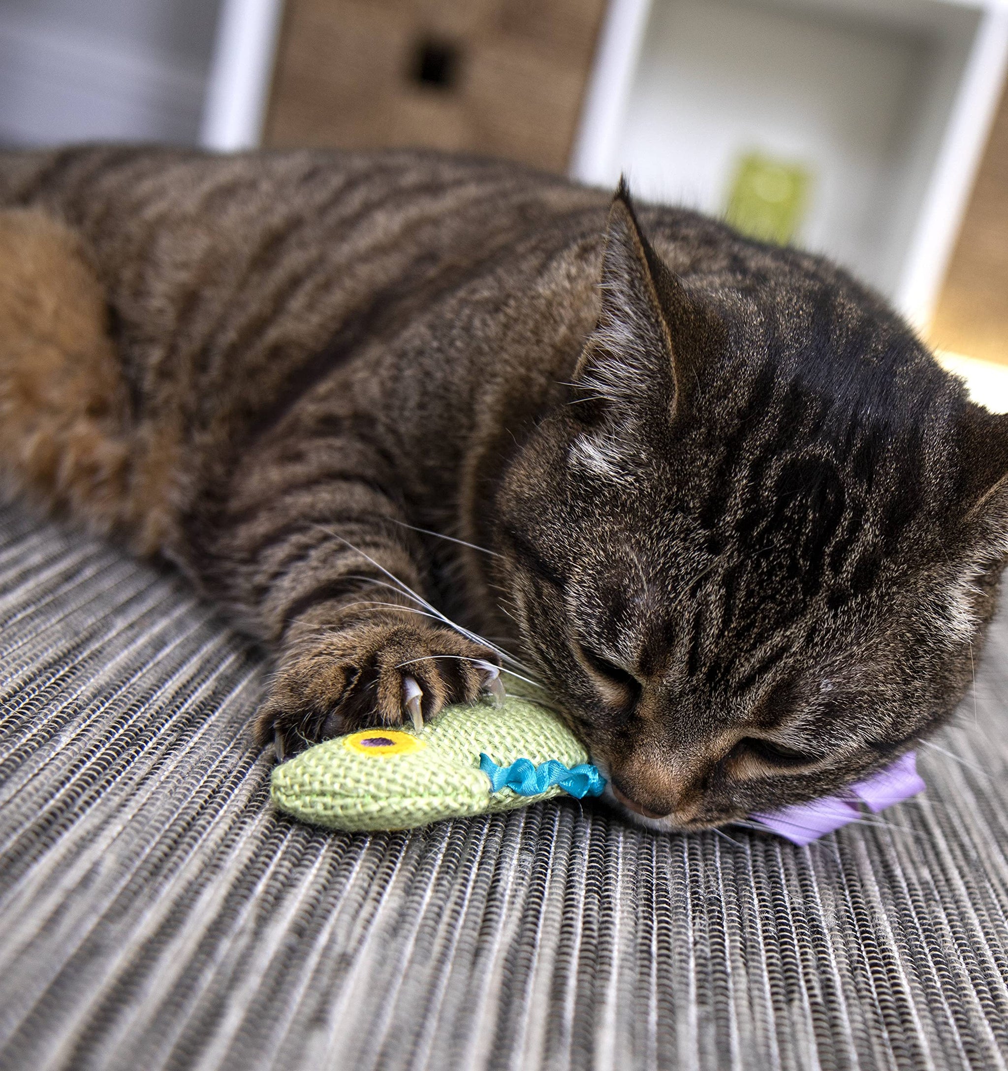 Interactive Cat Toy with Light and HappyNip Blend