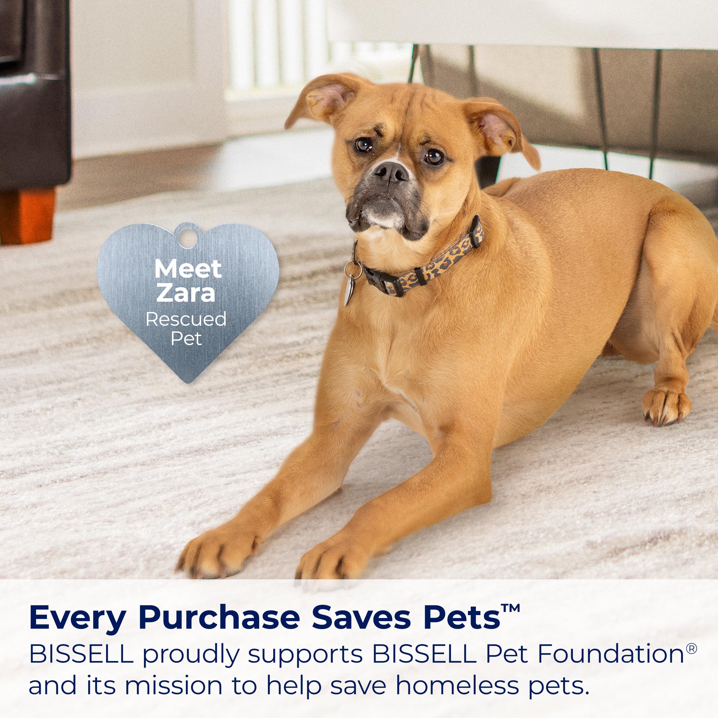 Bissell CleanView Swivel Vacuum for Powerful Pet Hair Pickup