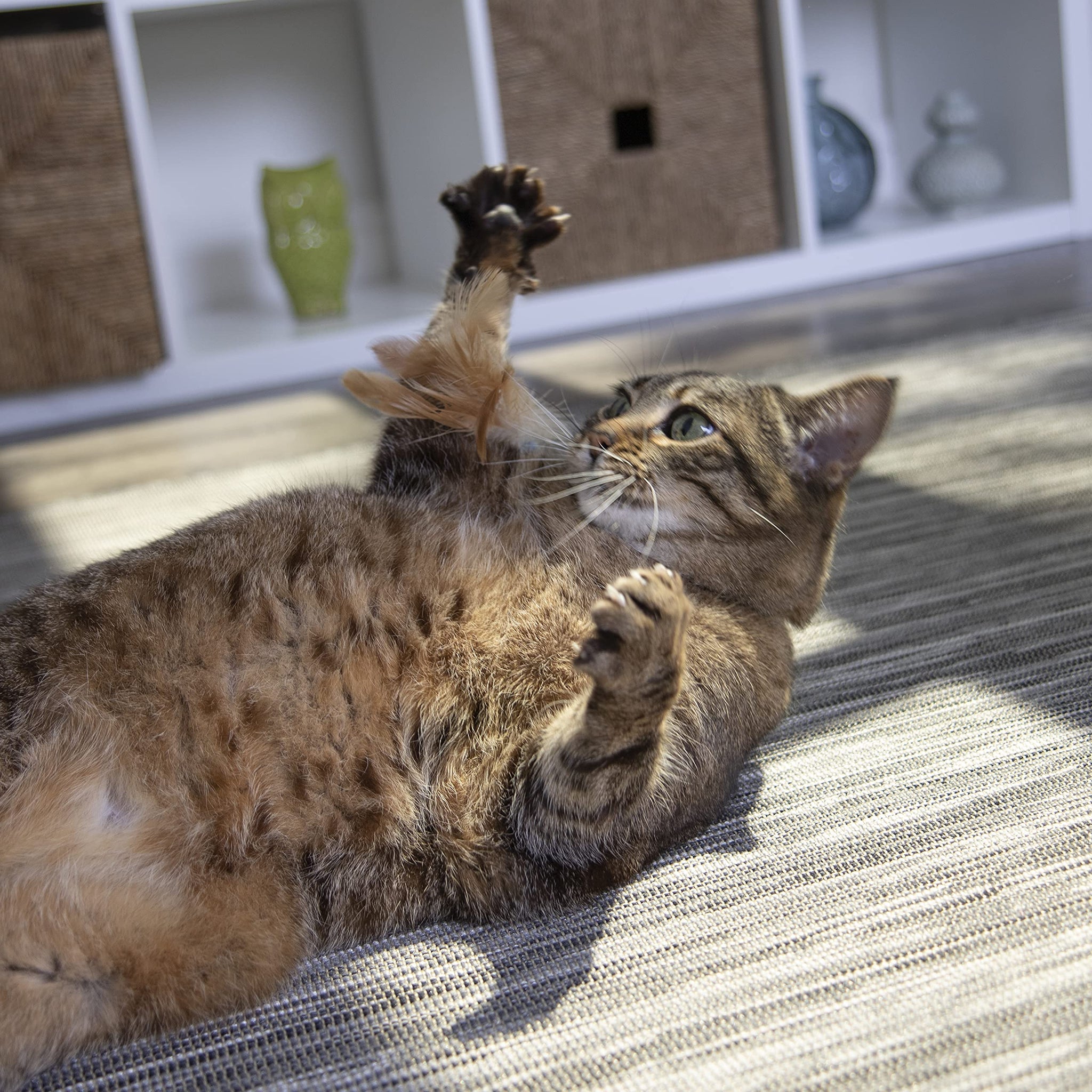 Interactive Cat Toy with Light and HappyNip Blend