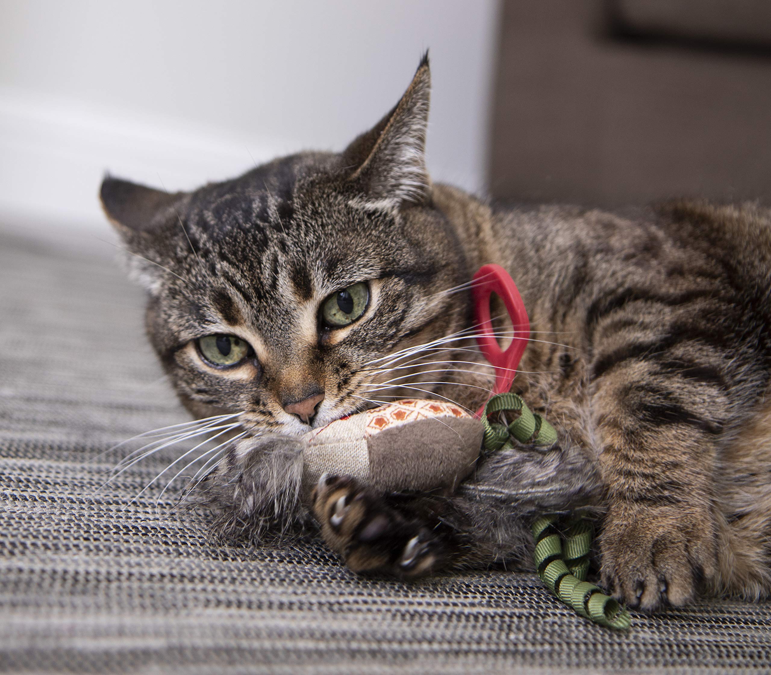 Interactive Cat Toy with Light and HappyNip Blend