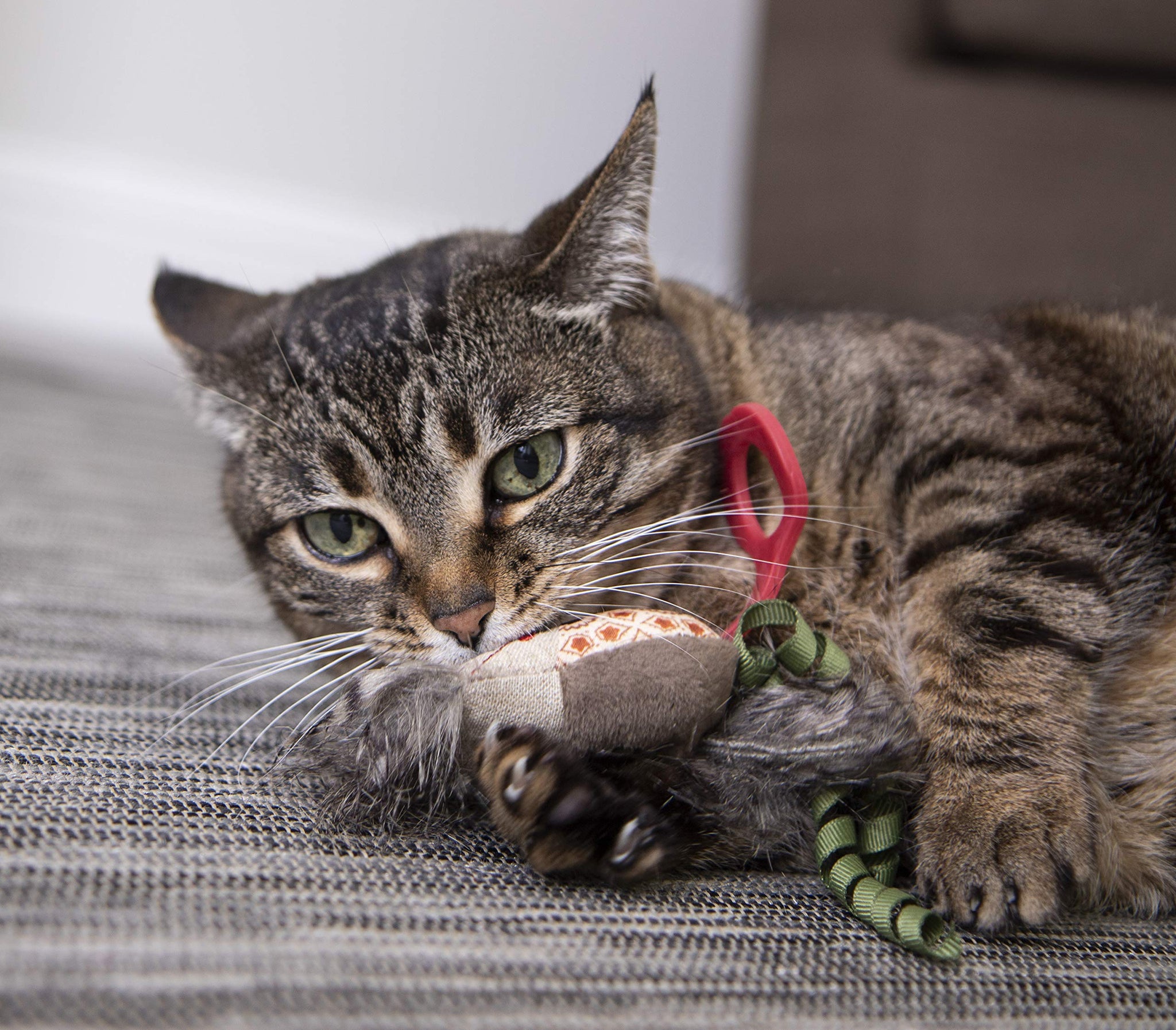 Interactive Cat Toy with Light and HappyNip Blend