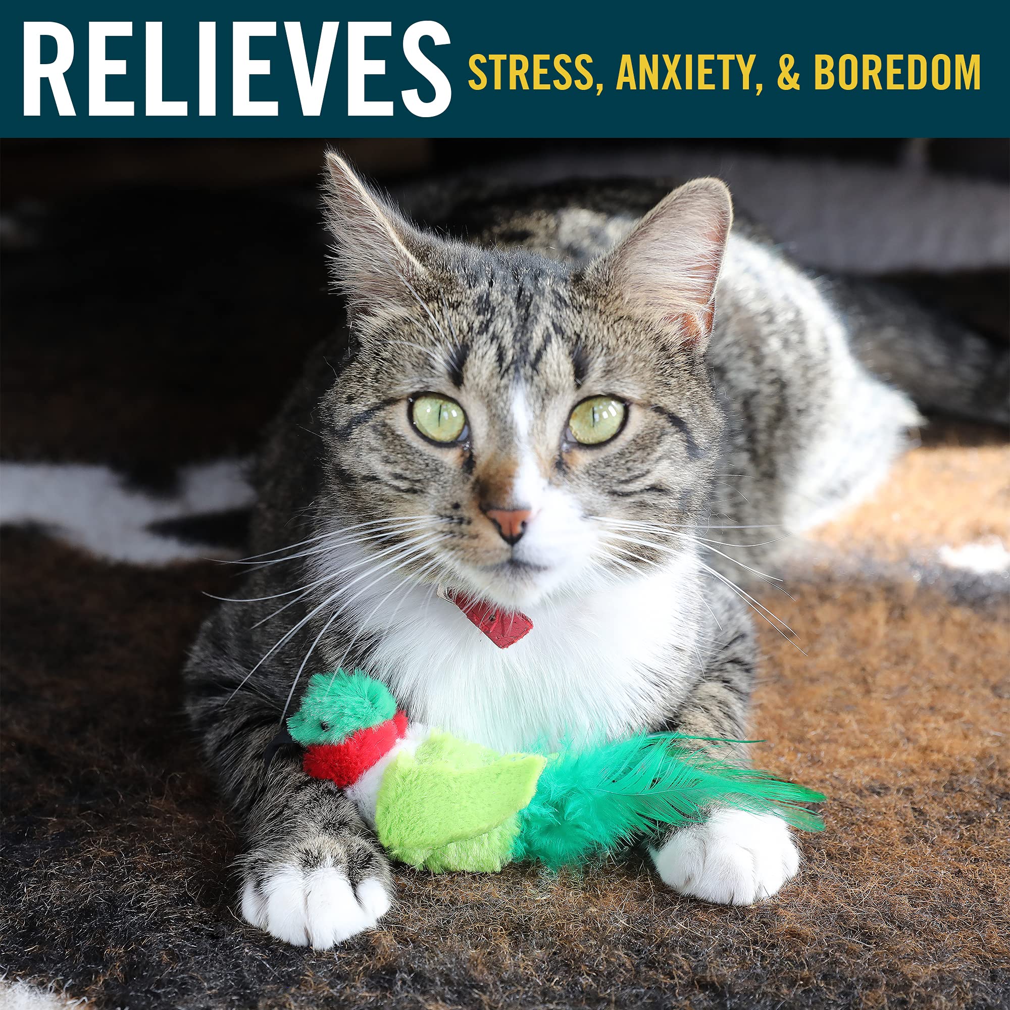 Interactive Cat Toys with Realistic Bird Sounds