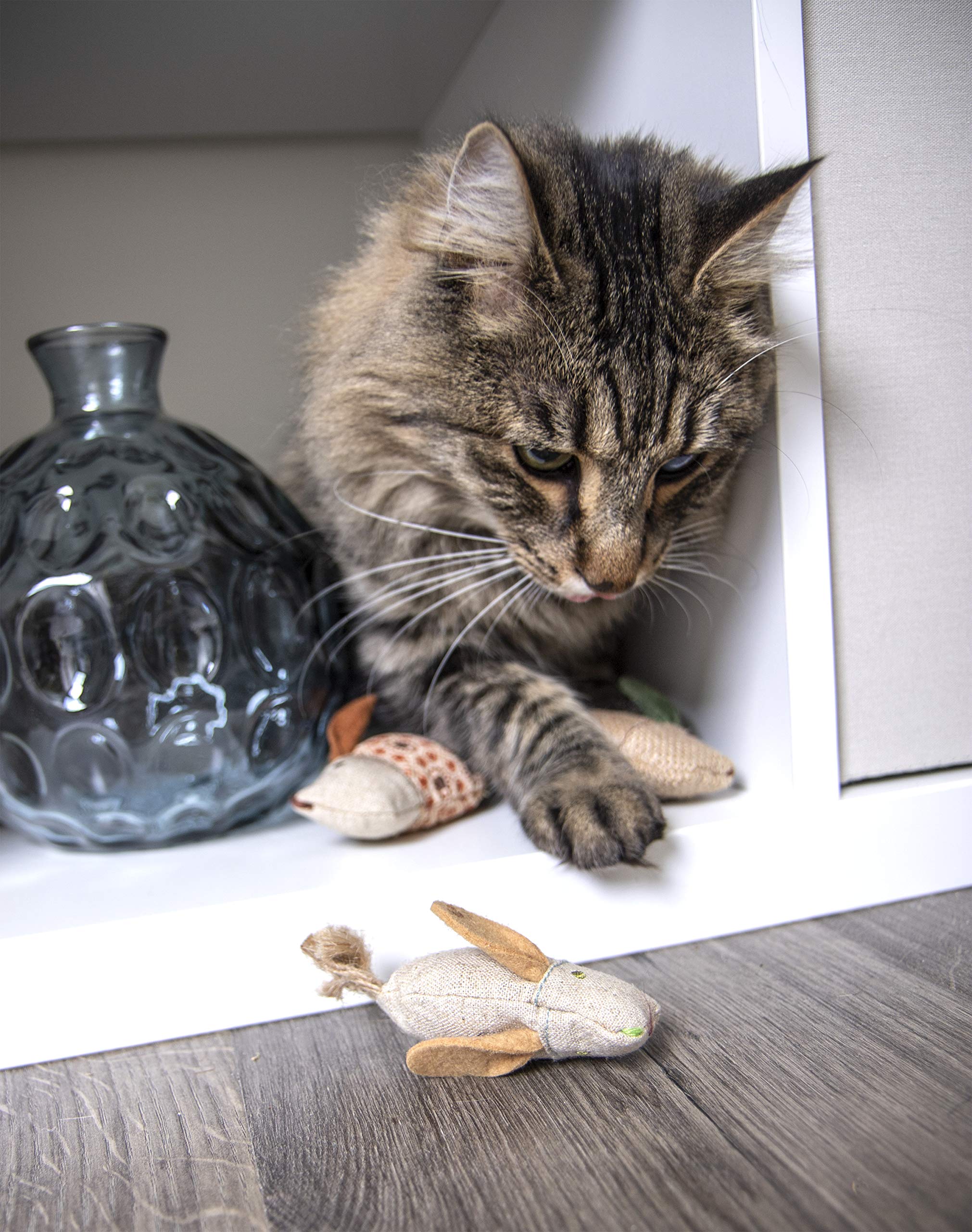 Interactive Cat Toy with Light and HappyNip Blend