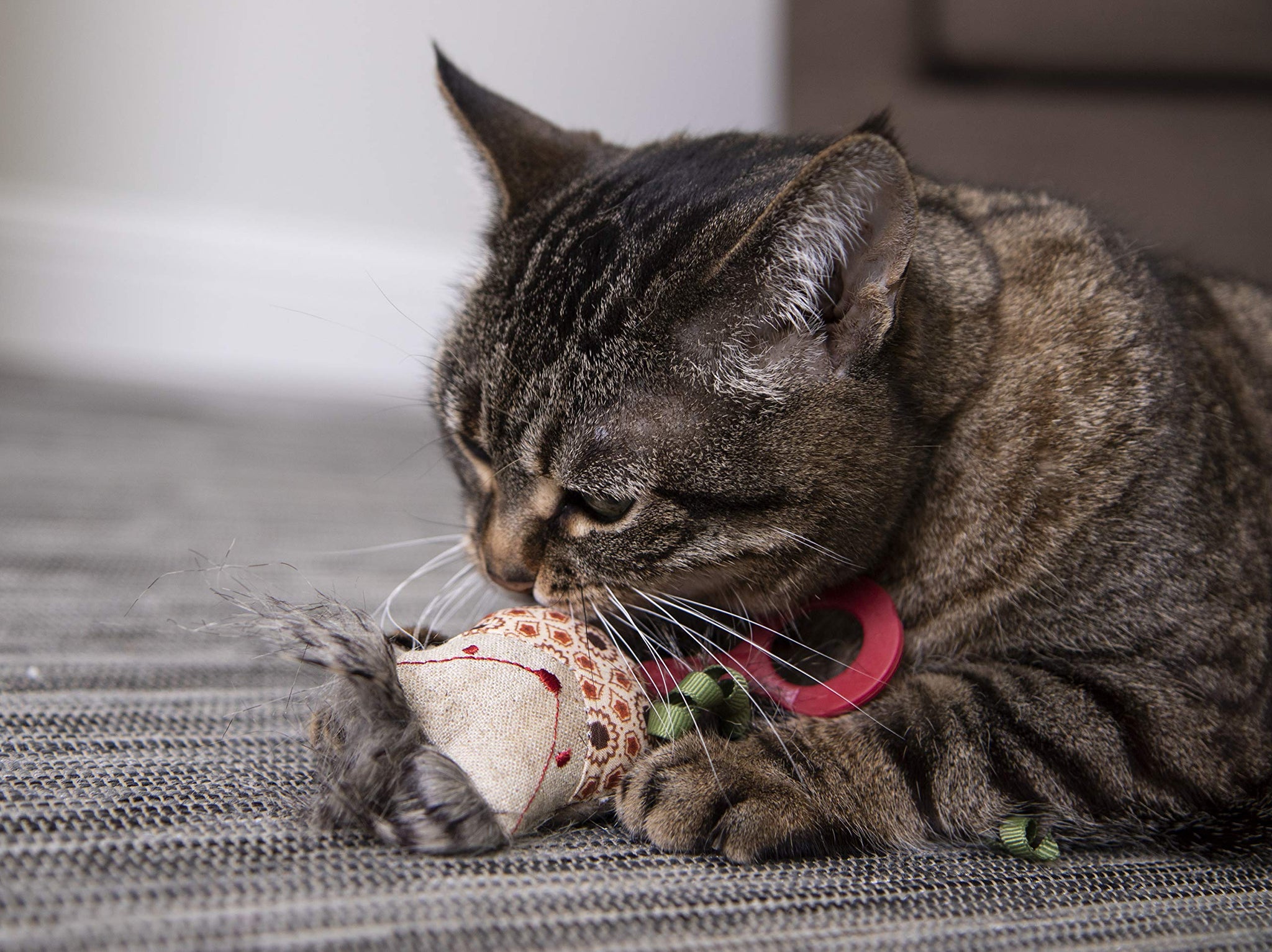 Interactive Cat Toy with Light and HappyNip Blend